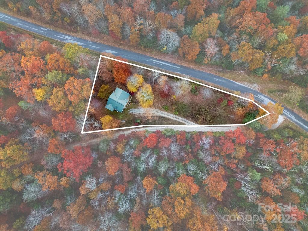 50 Honey Mountain Lane