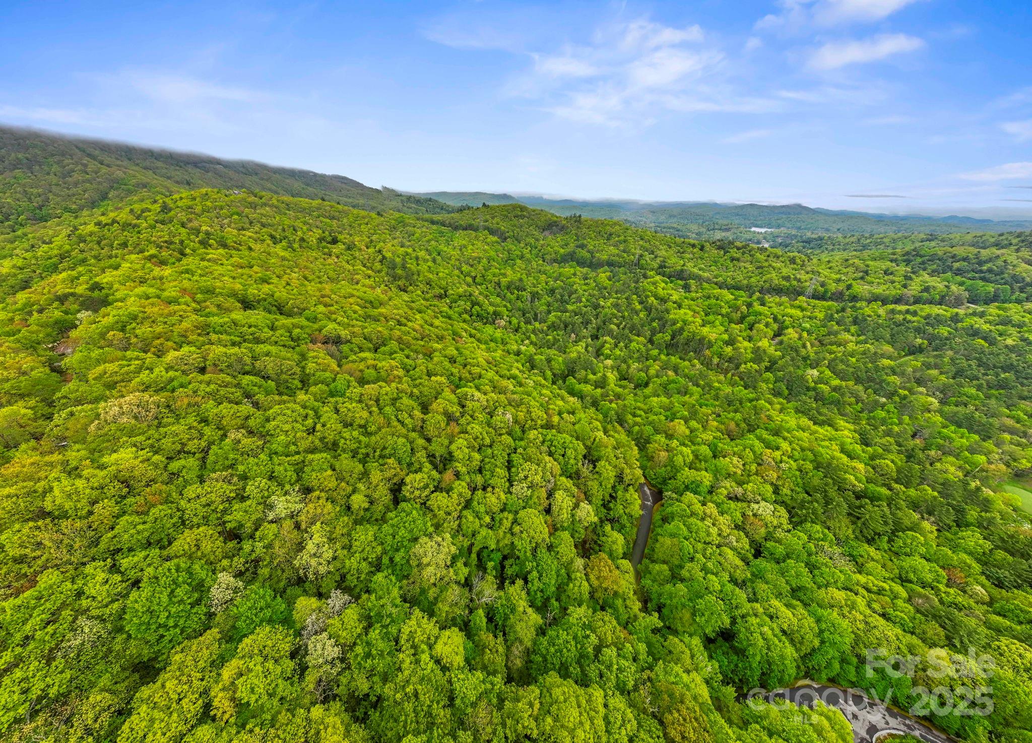 TBD Hickory Shaft Drive