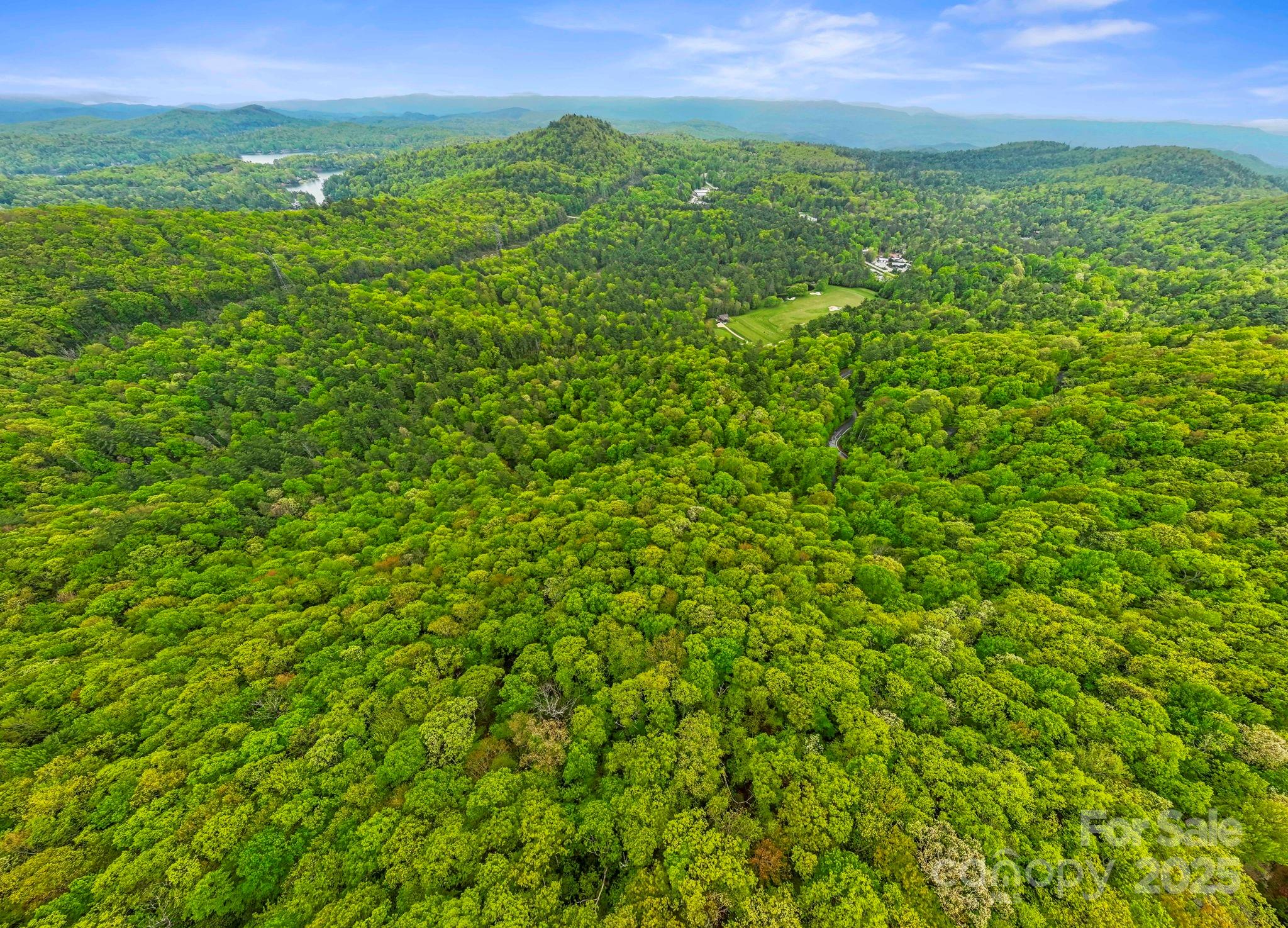 TBD Hickory Shaft Drive