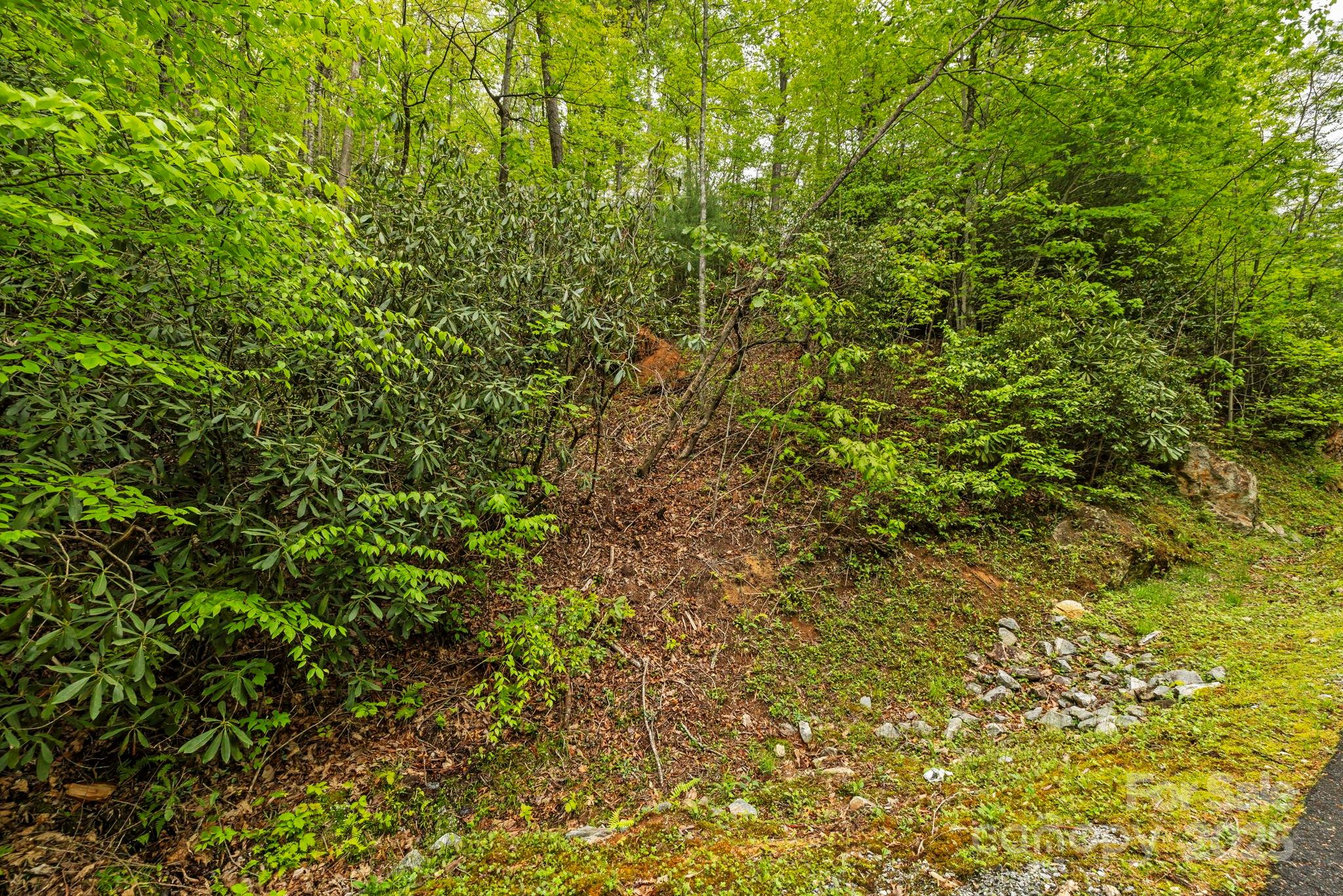 TBD Hickory Shaft Drive