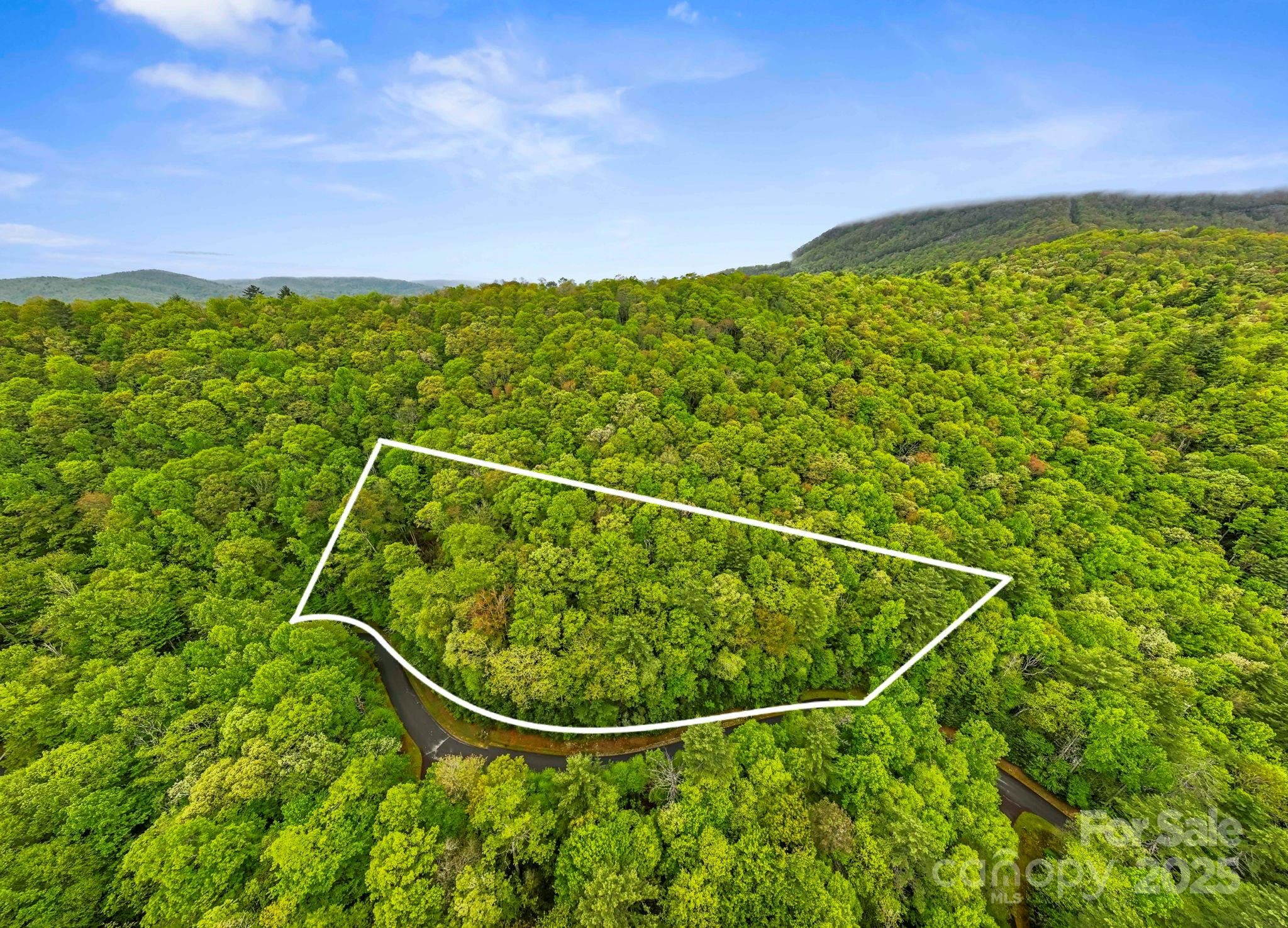 TBD Hickory Shaft Drive