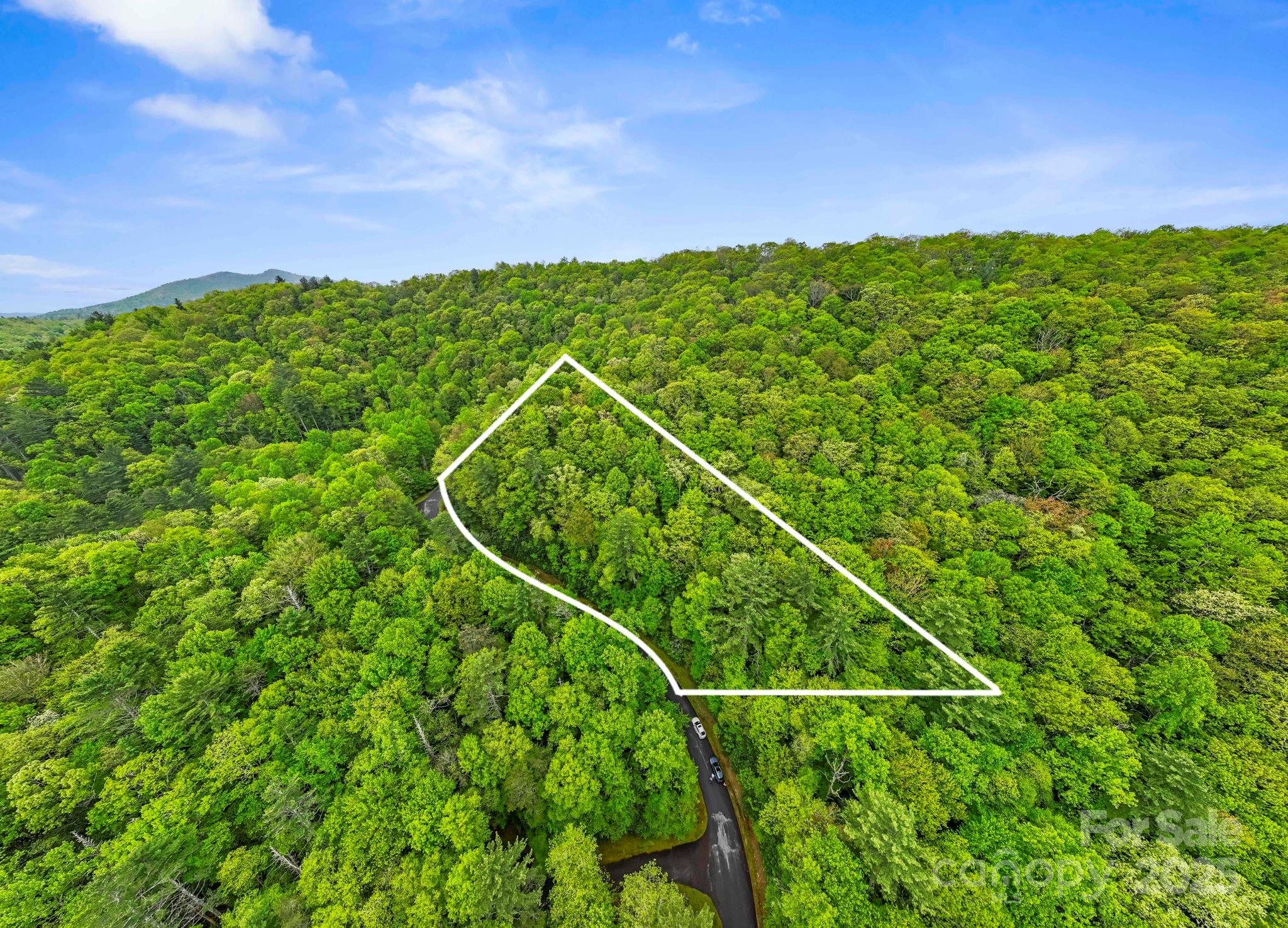 TBD Hickory Shaft Drive