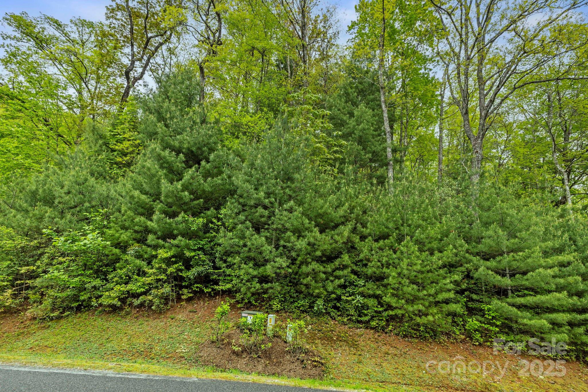 TBD Hickory Shaft Drive