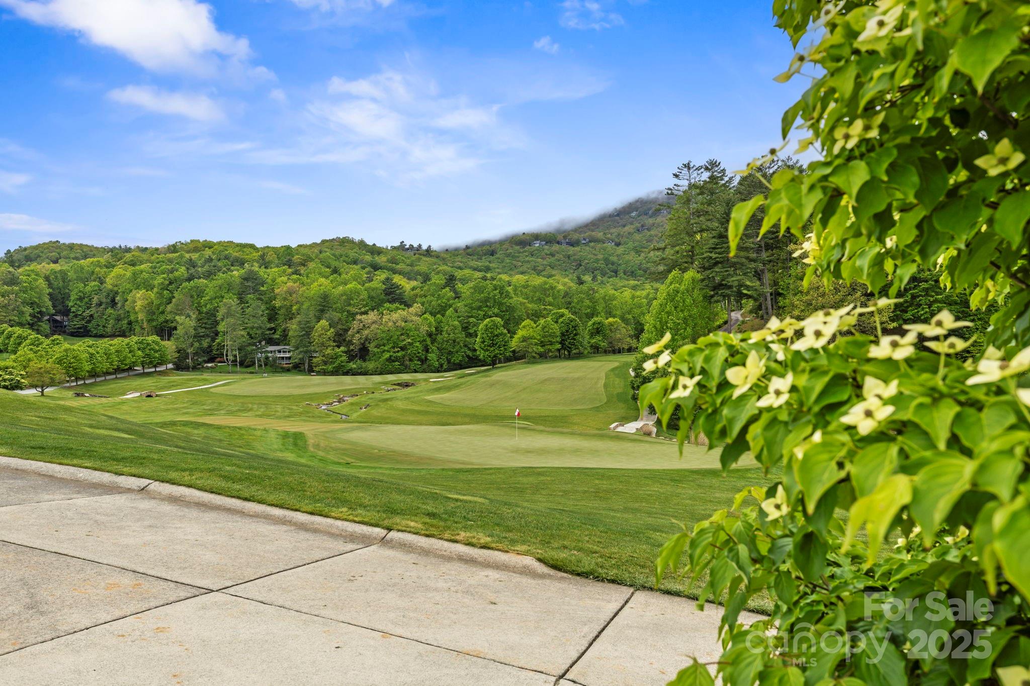 TBD Hickory Shaft Drive