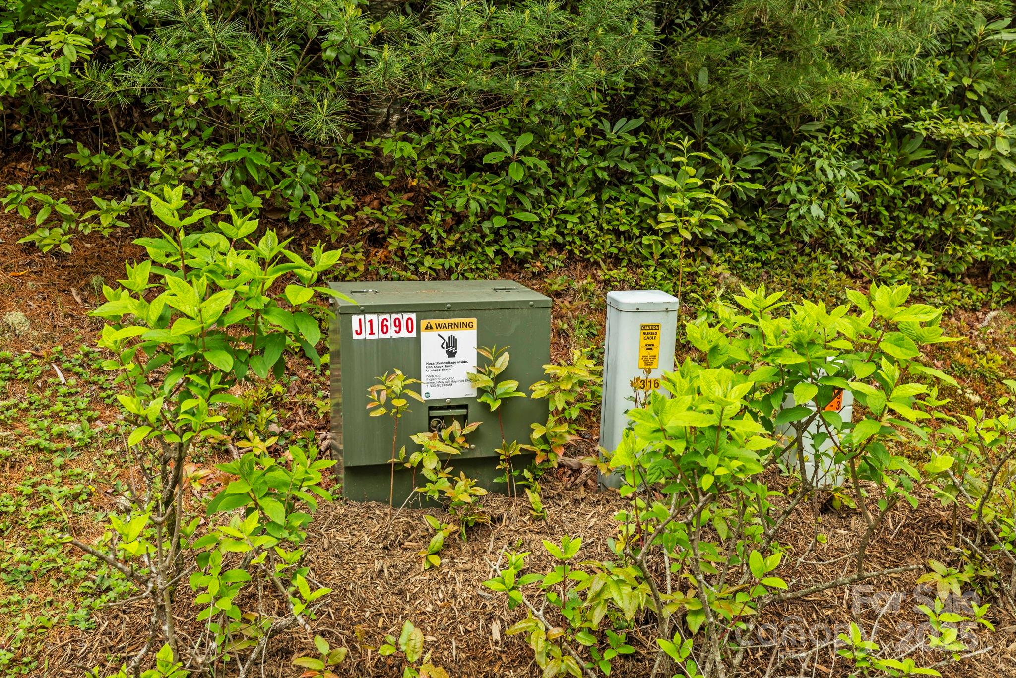 TBD Hickory Shaft Drive