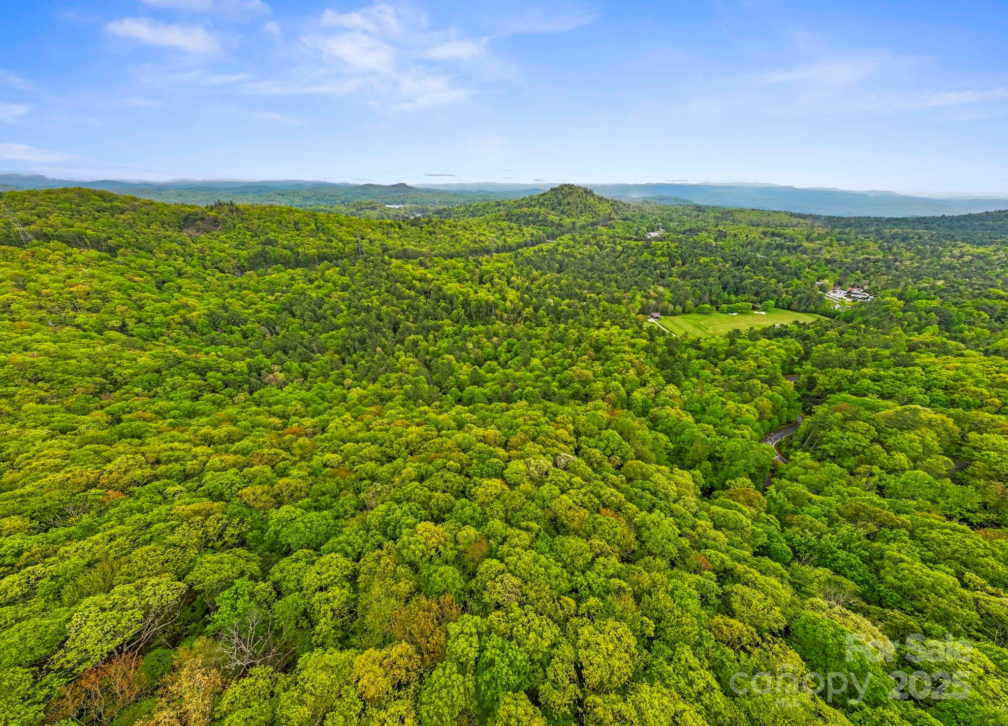 TBD Hickory Shaft Drive