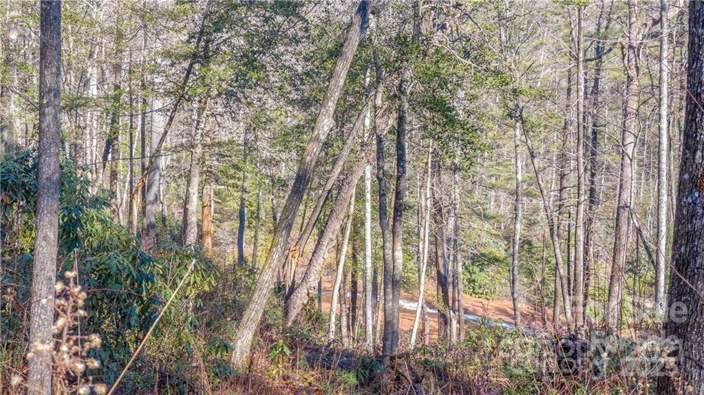 TBD Toxaway Falls Drive Unit: TR-A