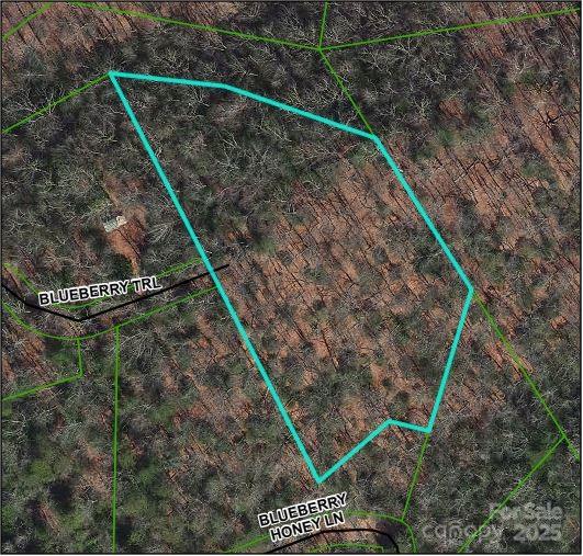 TBD Blueberry Trail Unit: 14