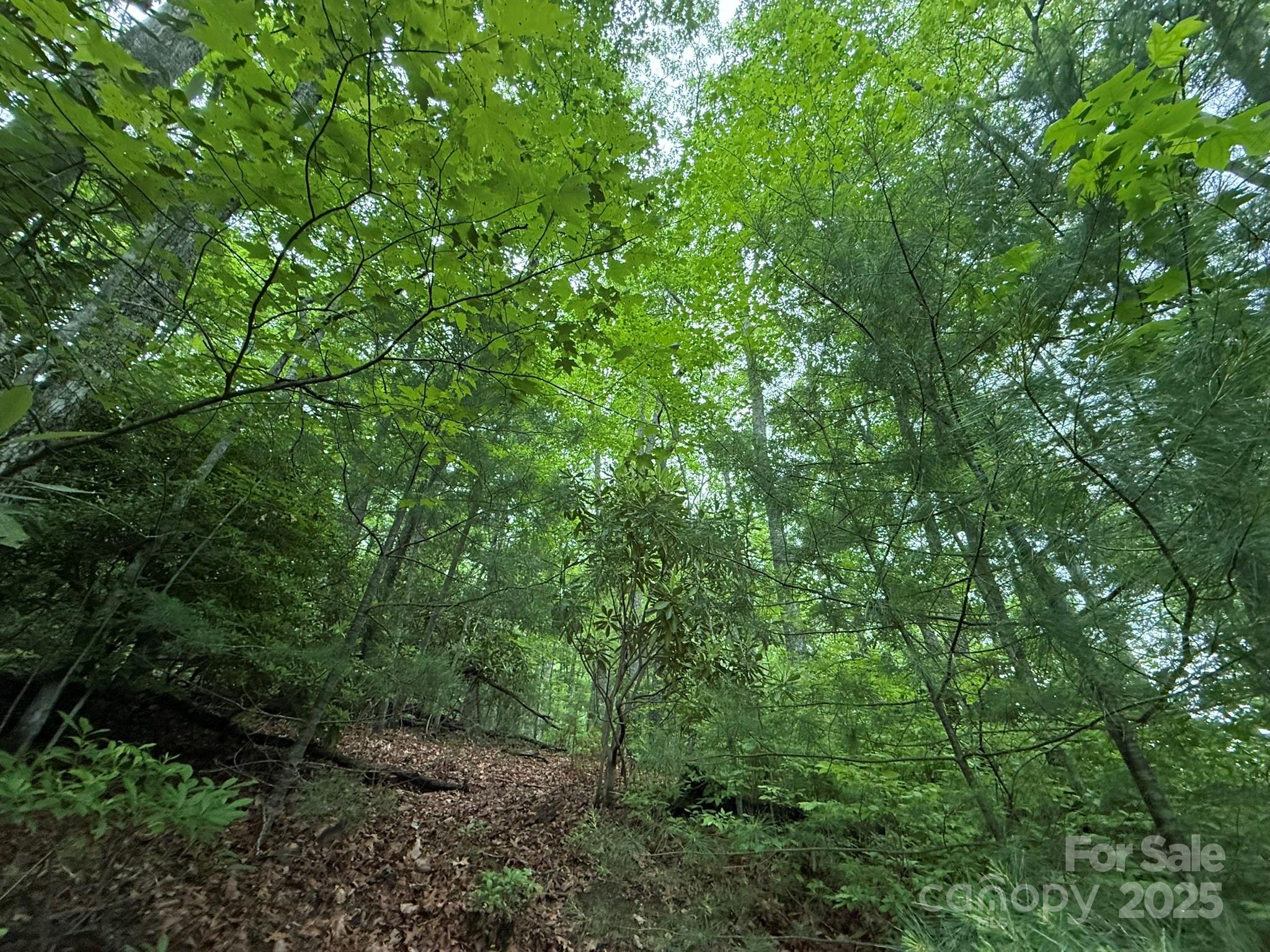 TBD Blueberry Trail Unit: 14