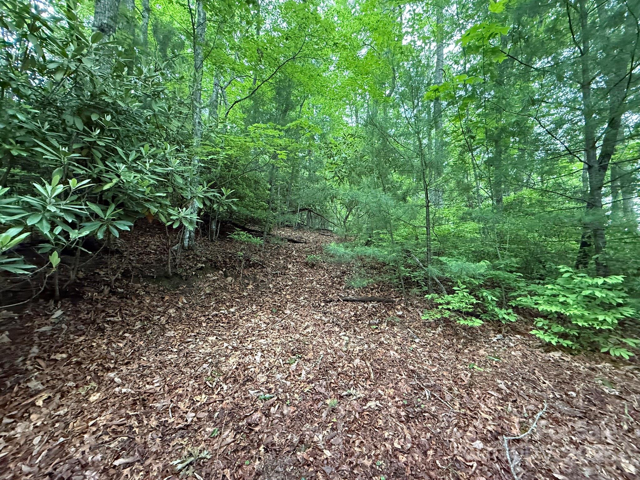 TBD Blueberry Trail Unit: 14