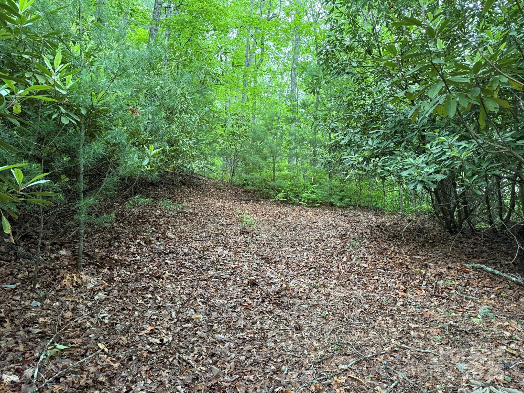 TBD Blueberry Trail Unit: 14
