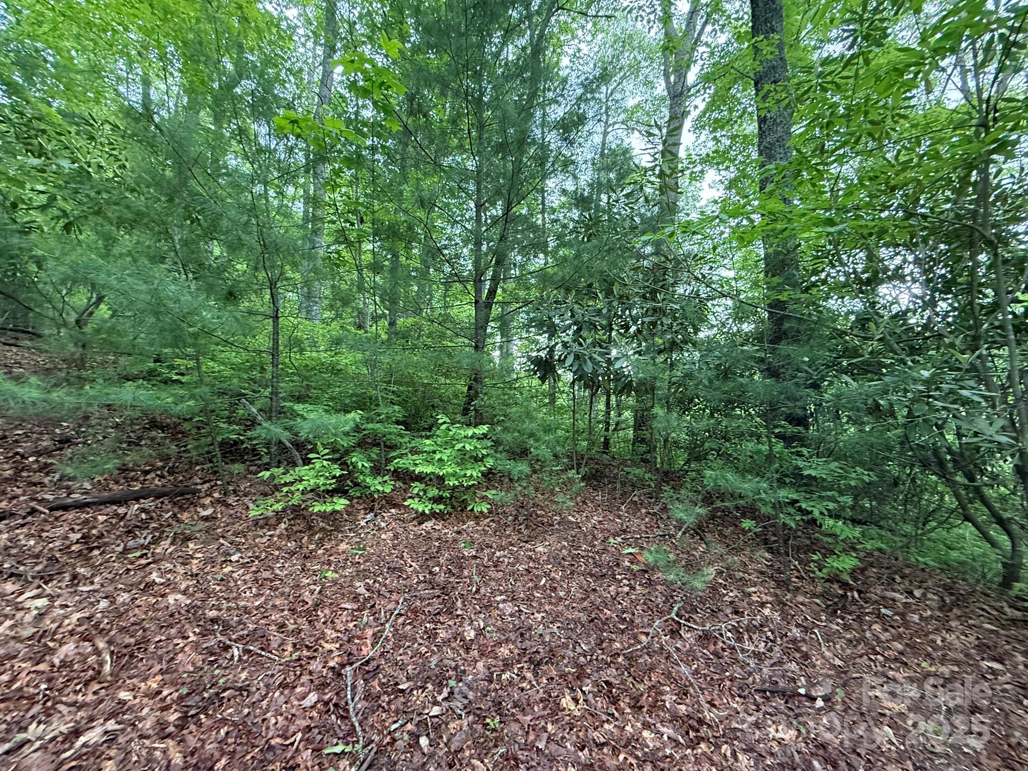 TBD Blueberry Trail Unit: 14