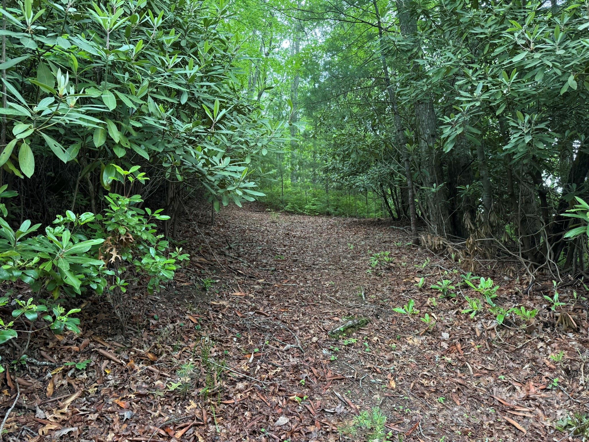 TBD Blueberry Trail Unit: 14