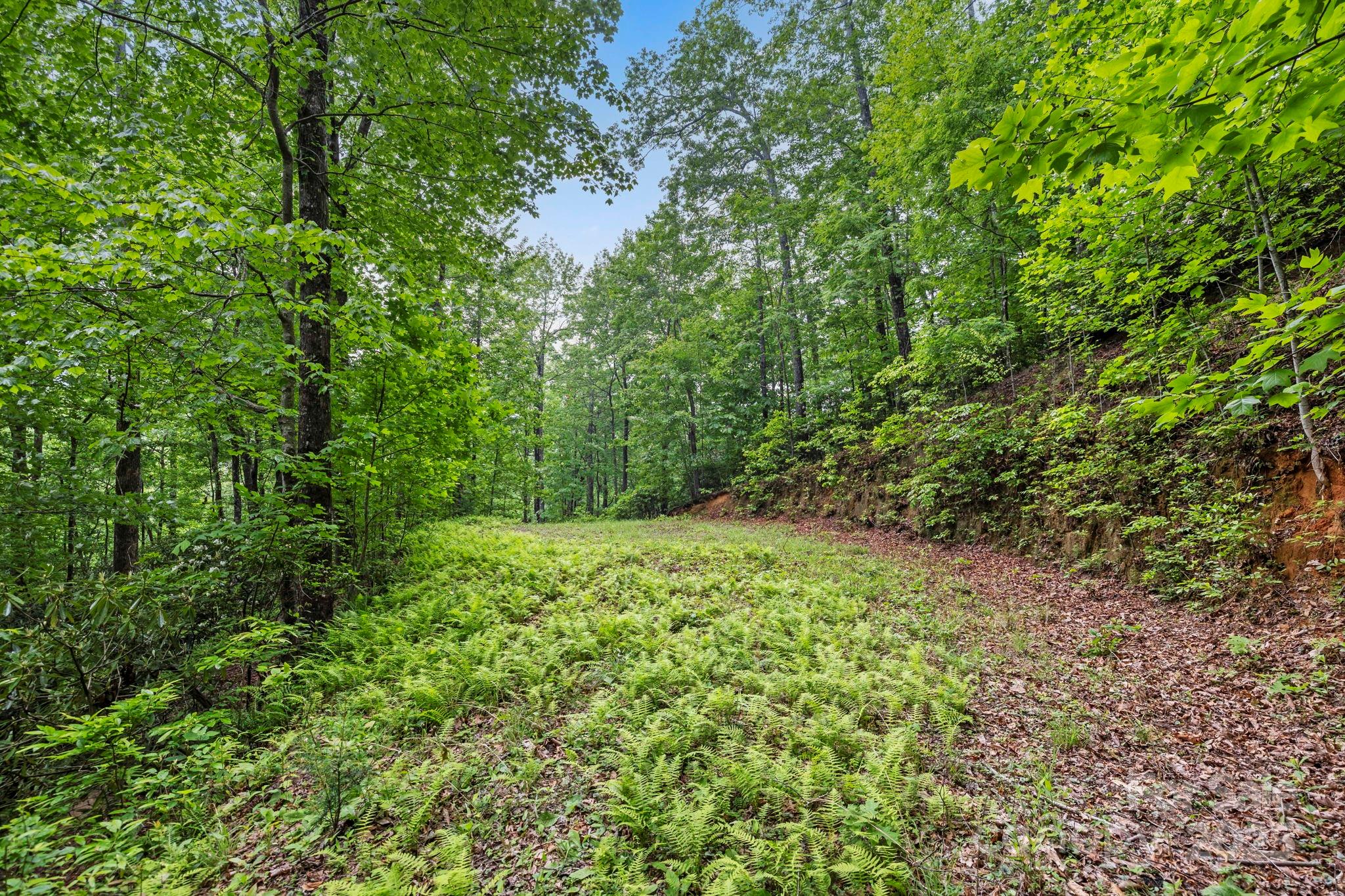 3739 Pickens Highway