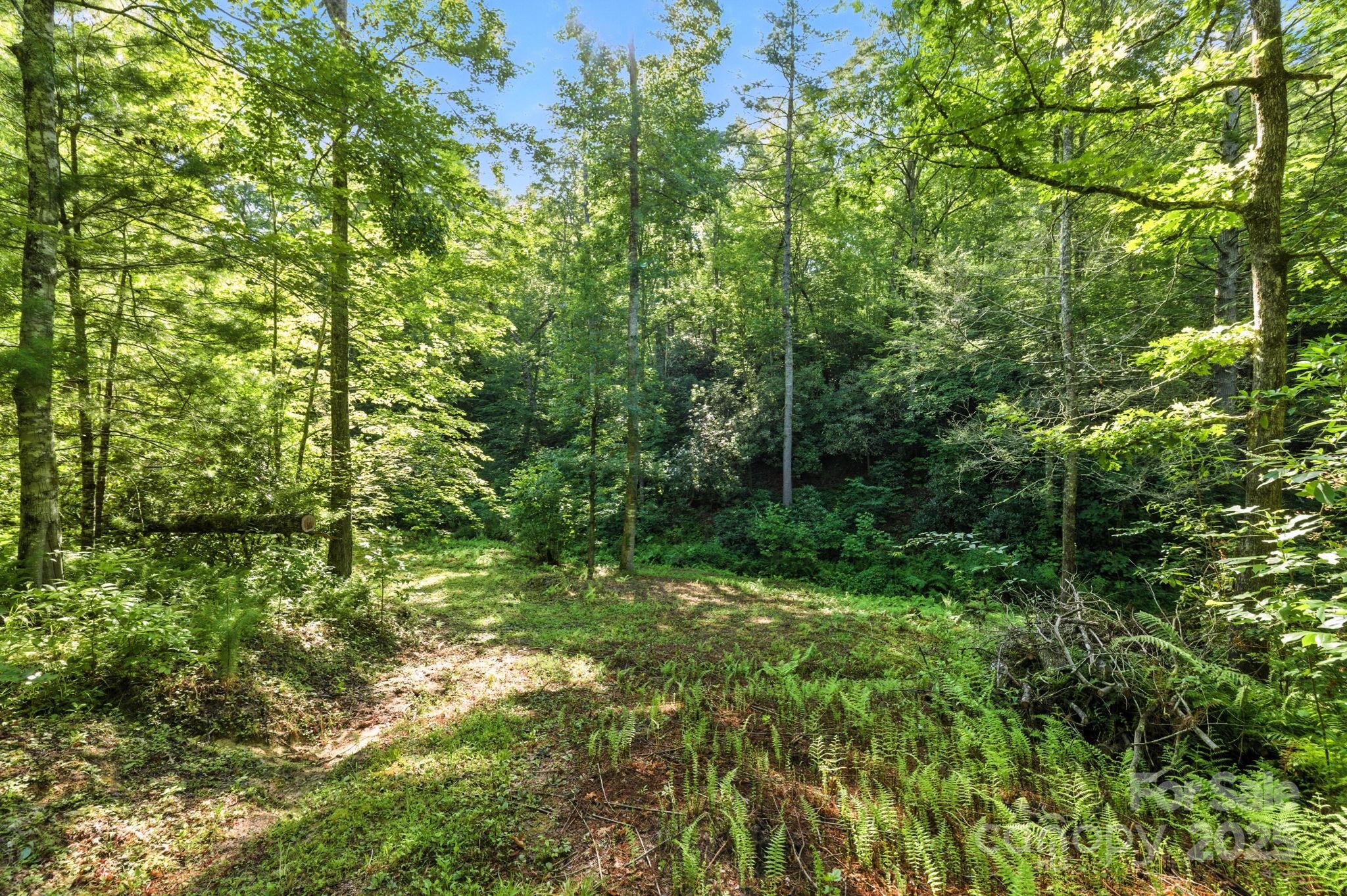 3333 Old Toxaway Road
