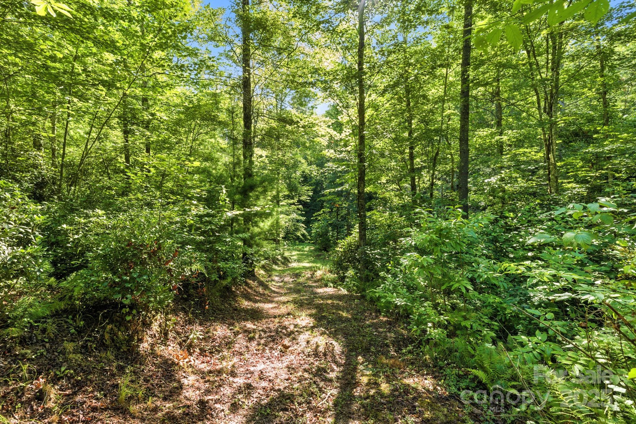3333 Old Toxaway Road