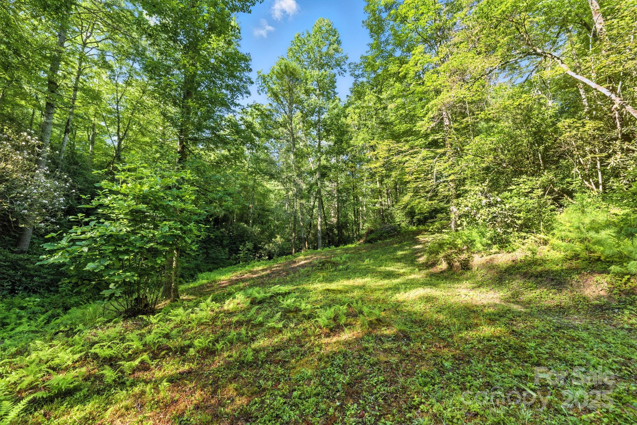 3333 Old Toxaway Road