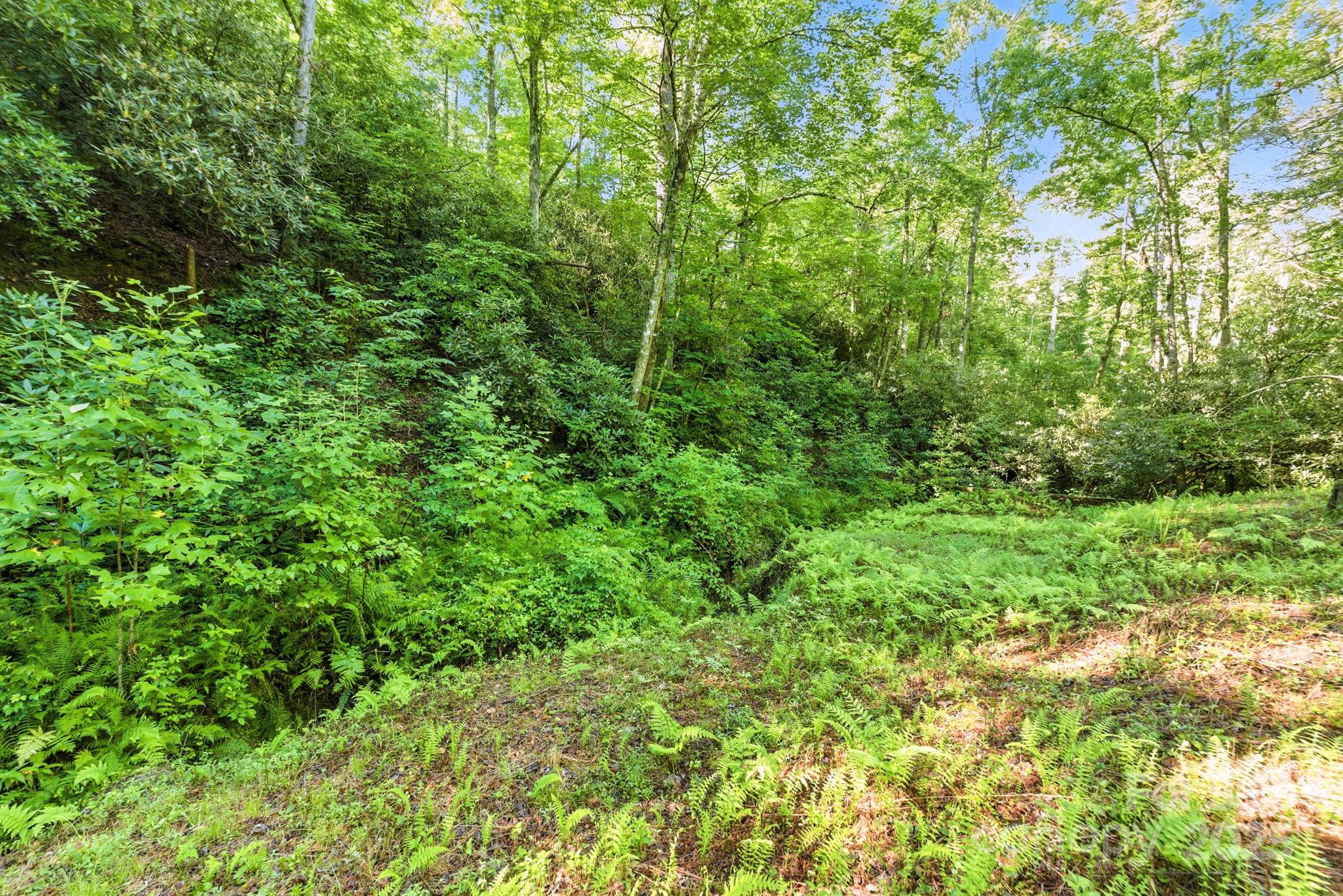 3333 Old Toxaway Road