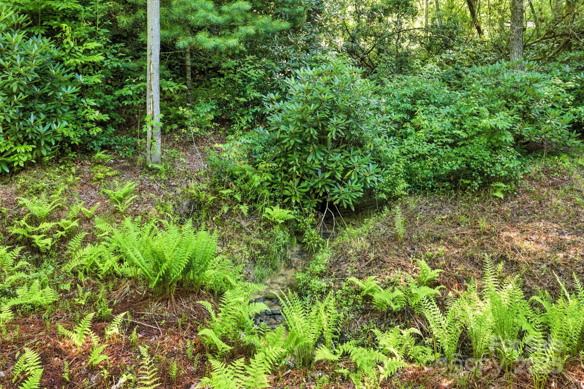3333 Old Toxaway Road