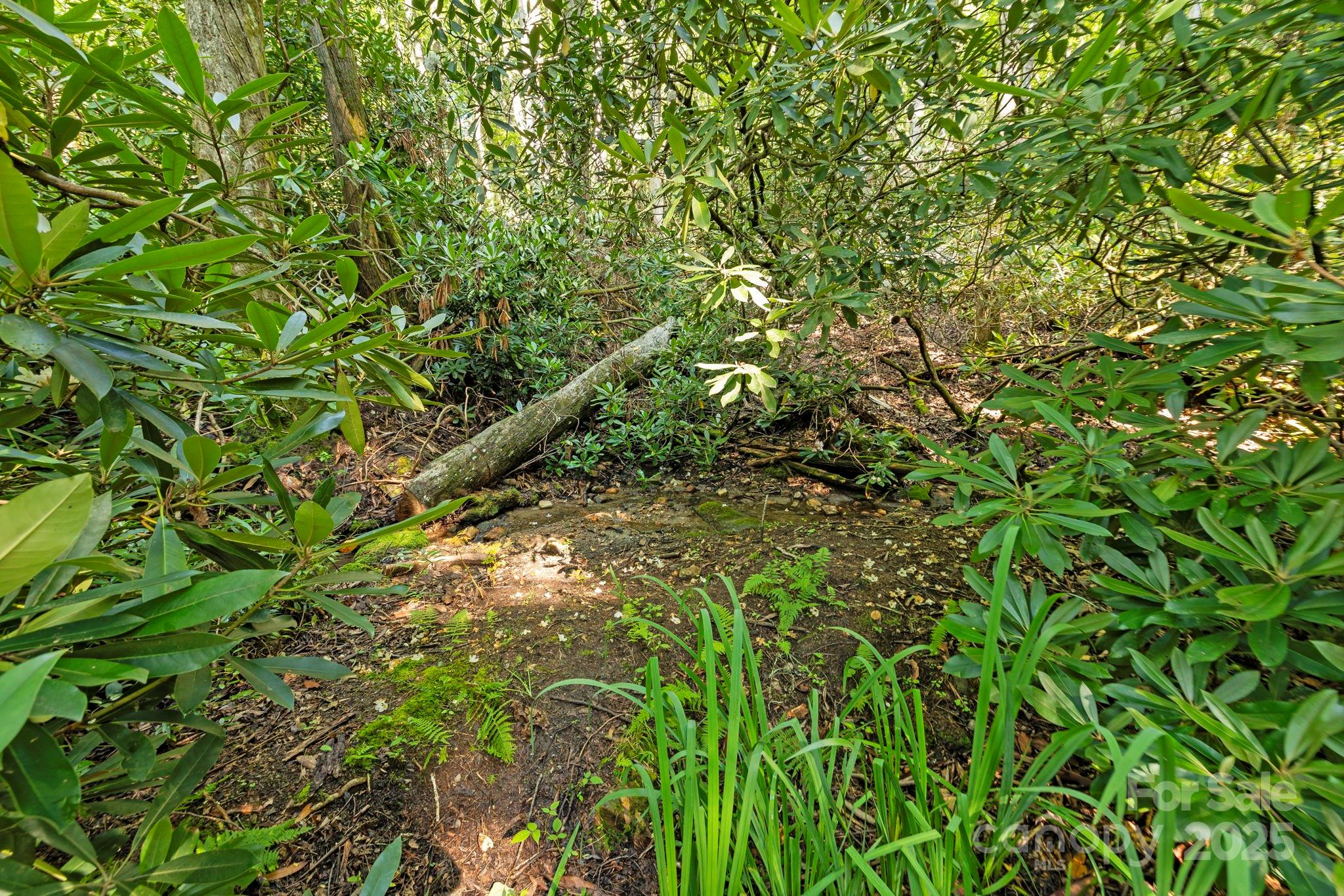 110 Sourwood Court