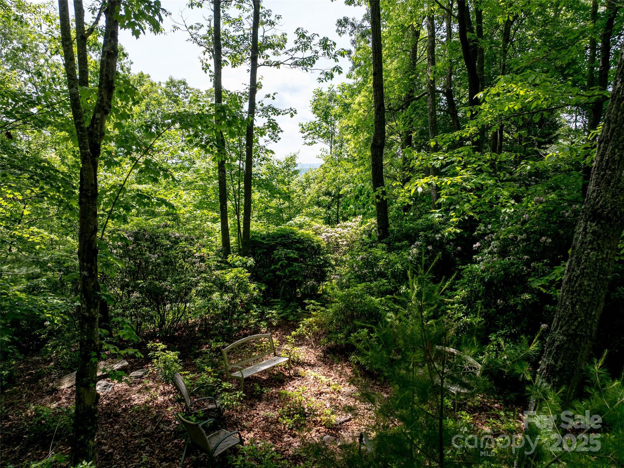 260 Arbor Woods Drive