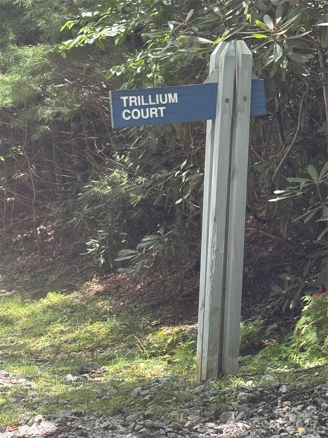000 Trillium Court Unit: 37