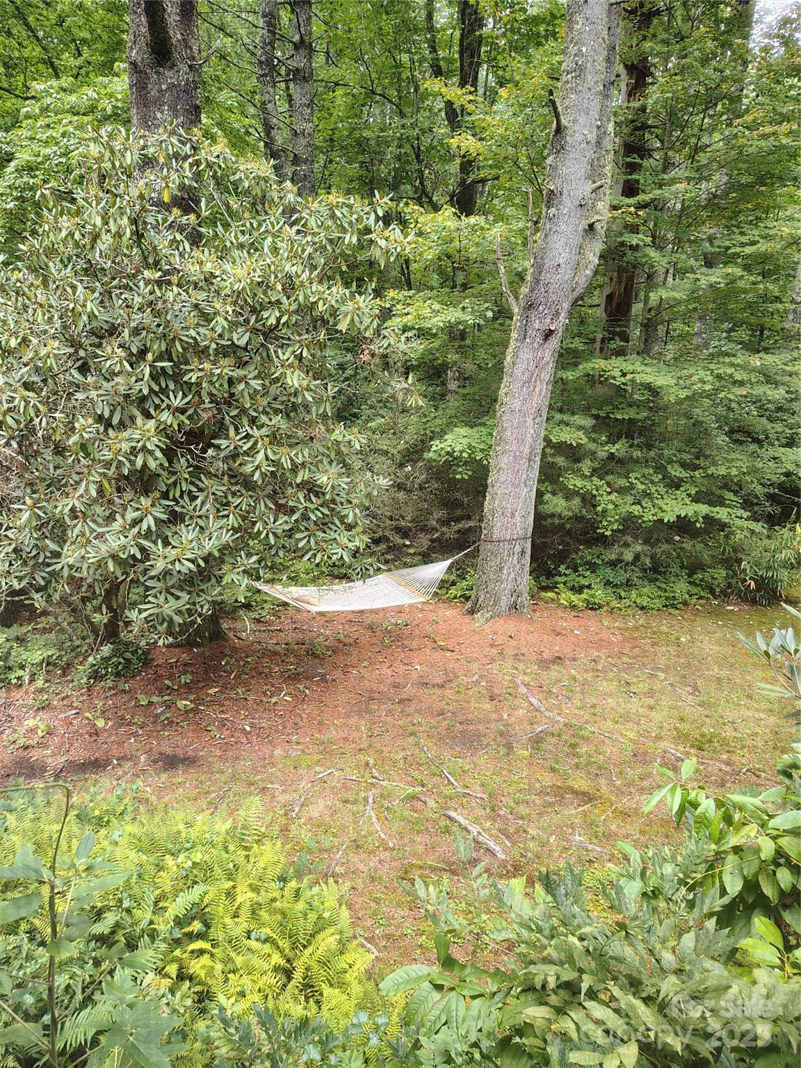 36 Walker Creek