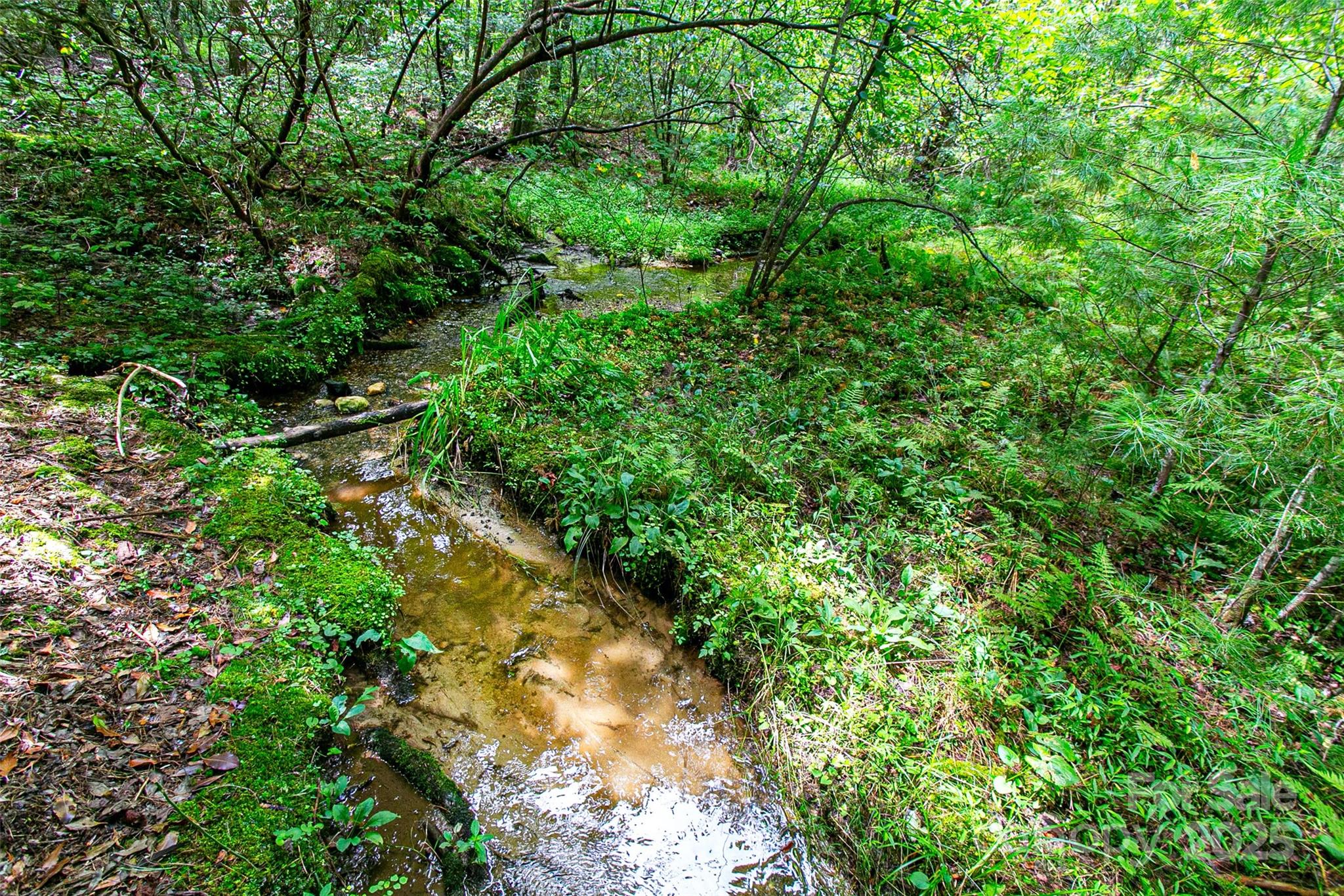 36 Walker Creek