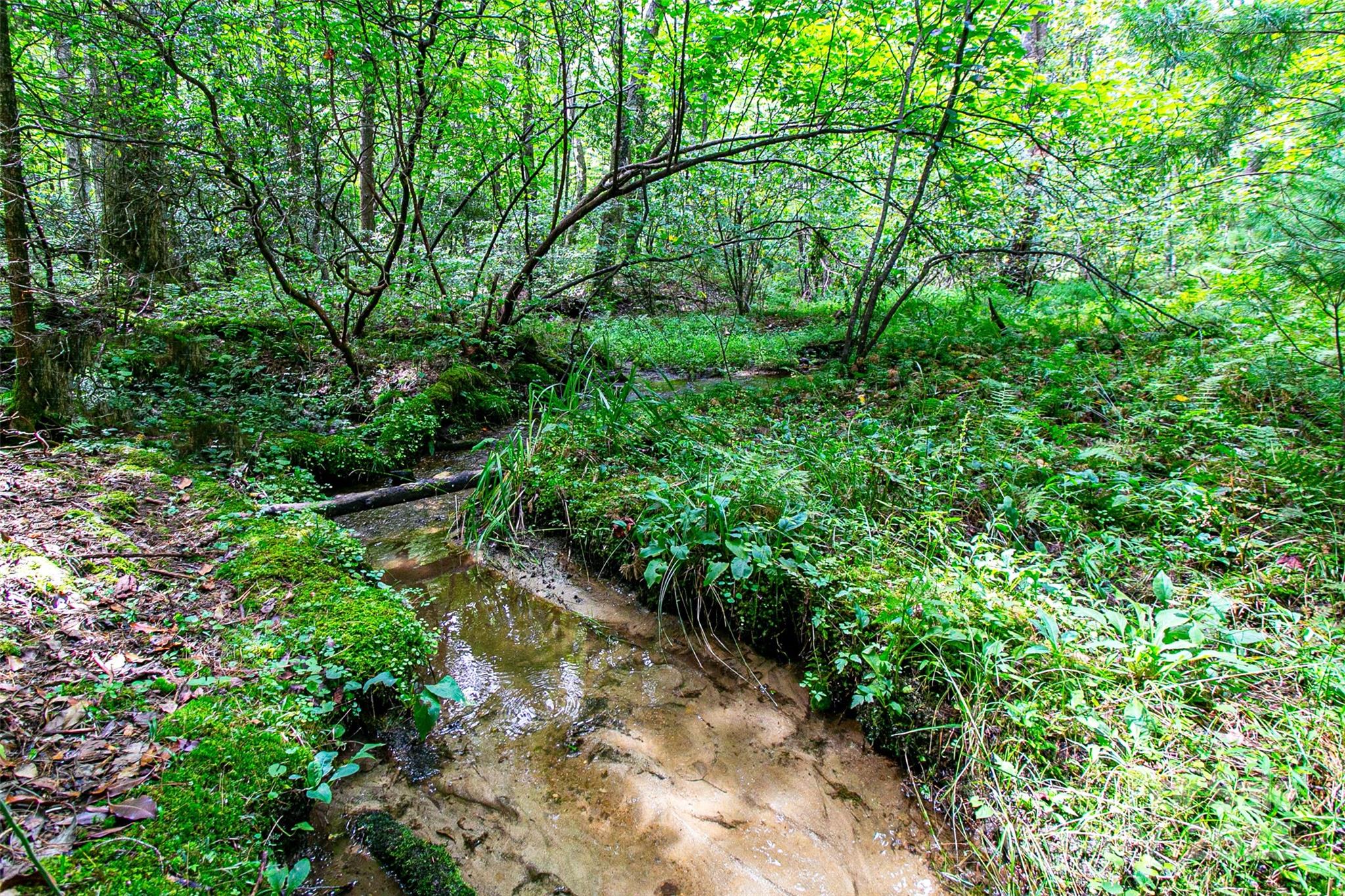 36 Walker Creek