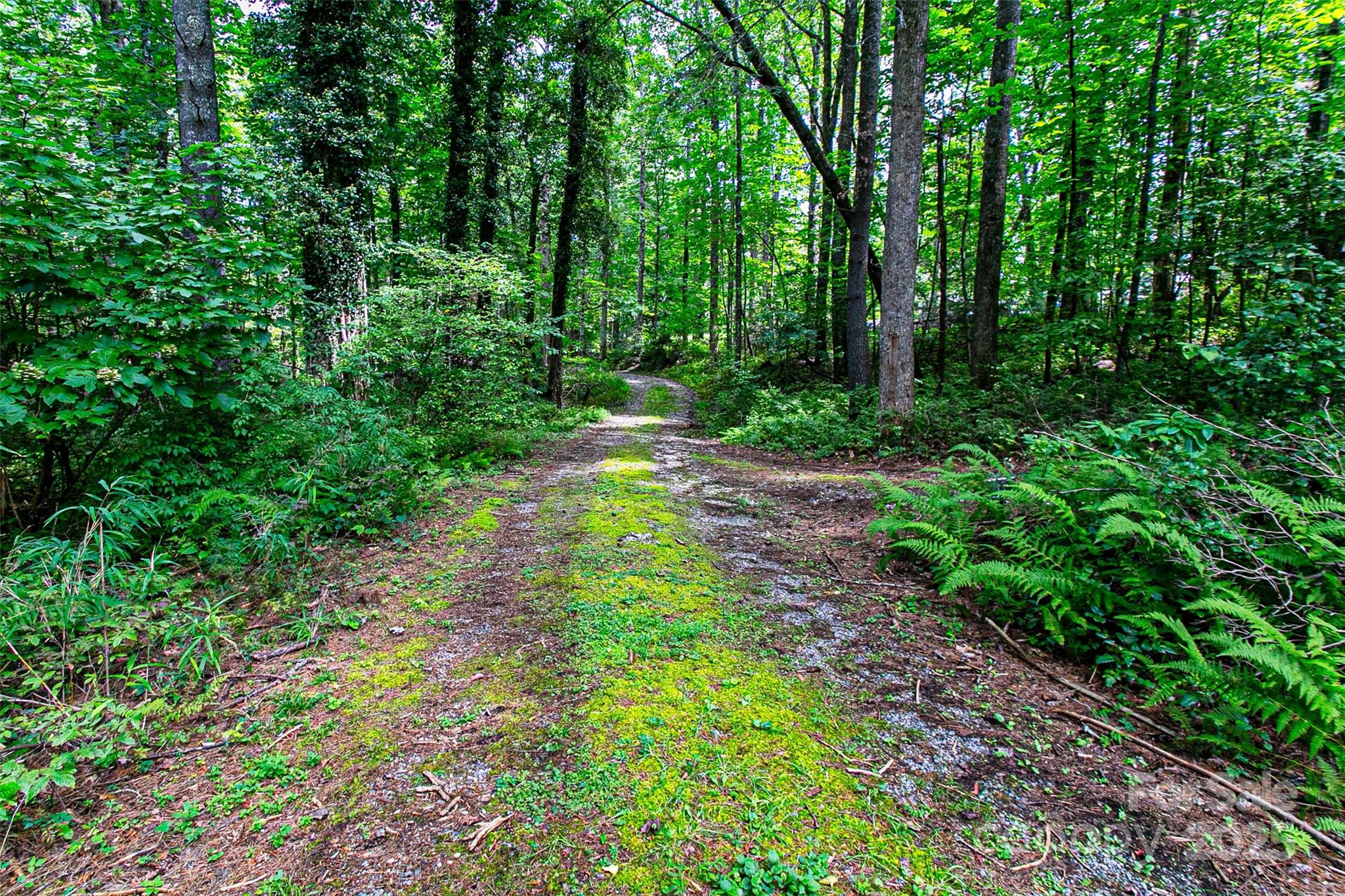 36 Walker Creek