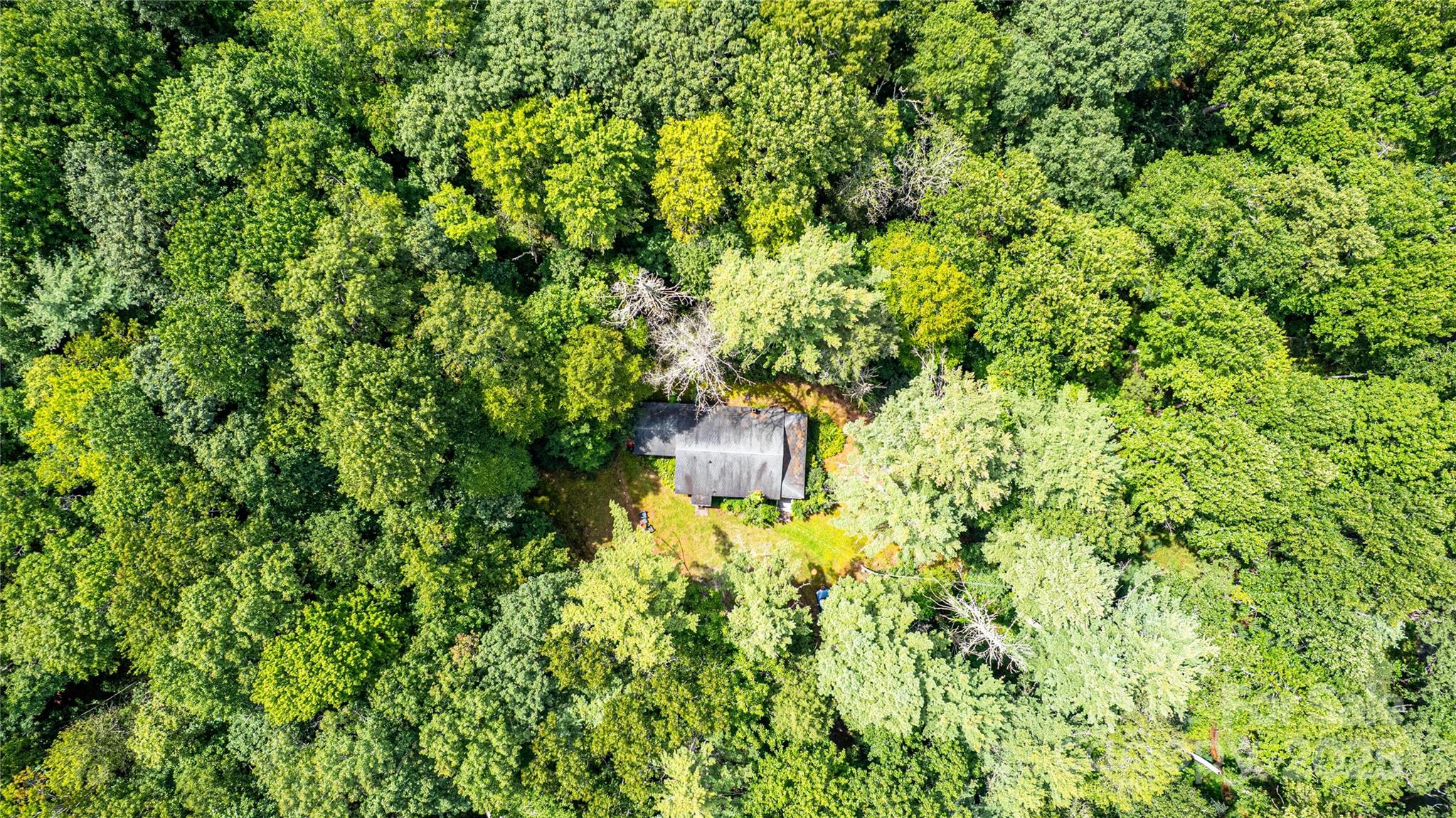 36 Walker Creek