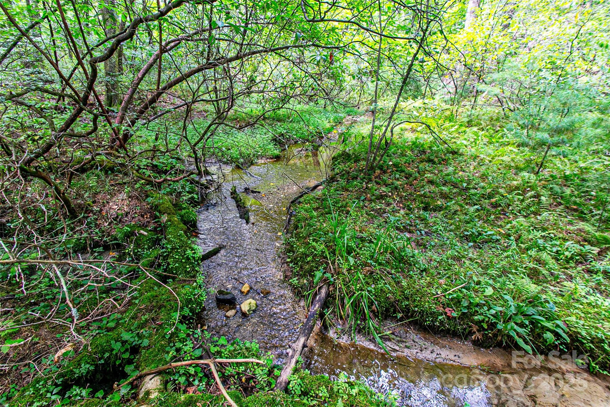 36 Walker Creek