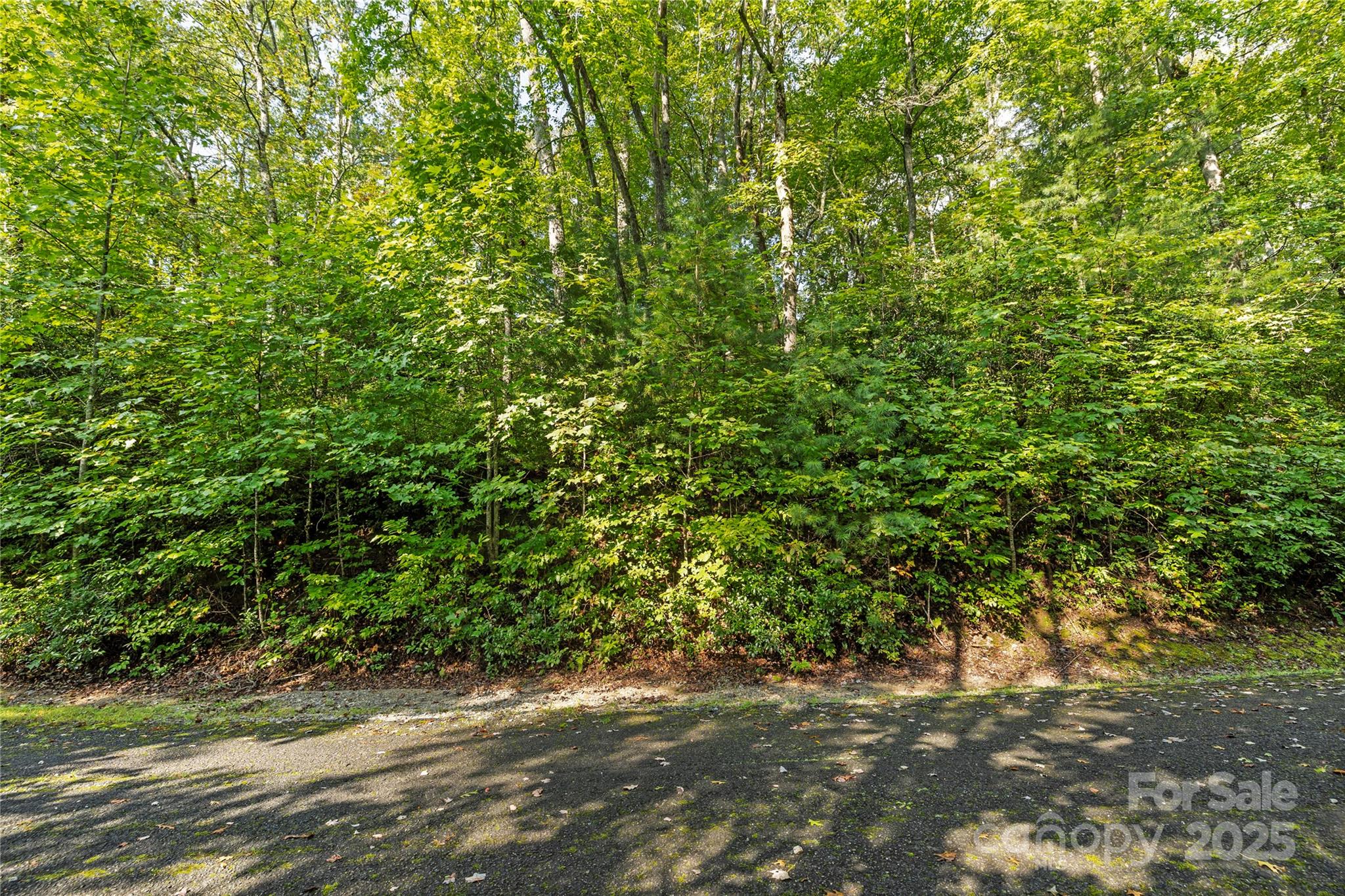 TBD Barts Branch Drive Unit: 13-16