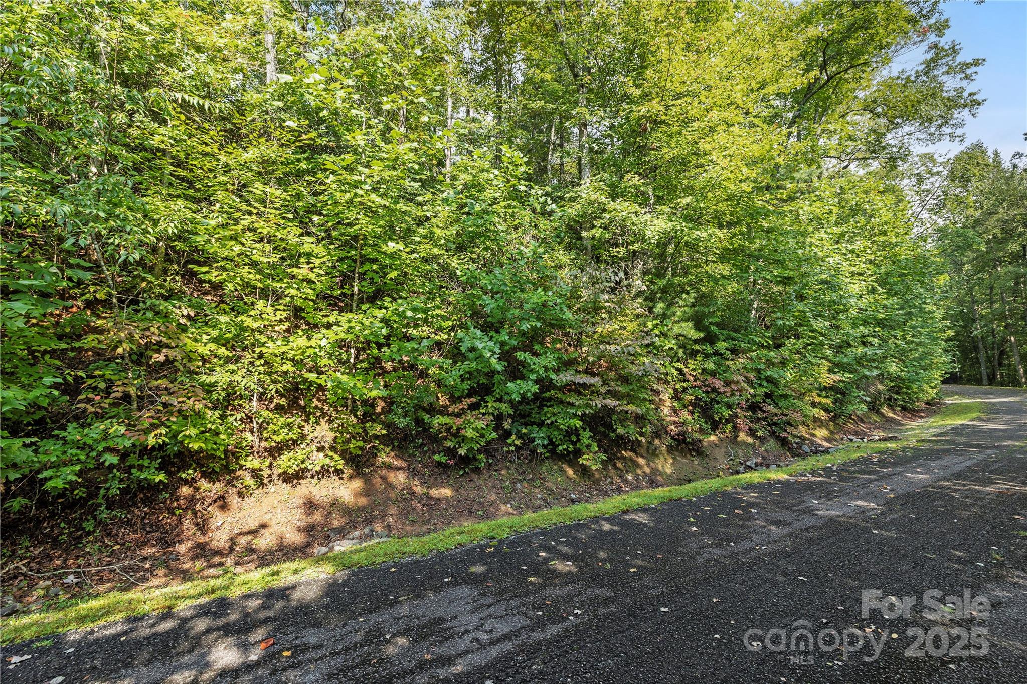 TBD Barts Branch Drive Unit: 13-16
