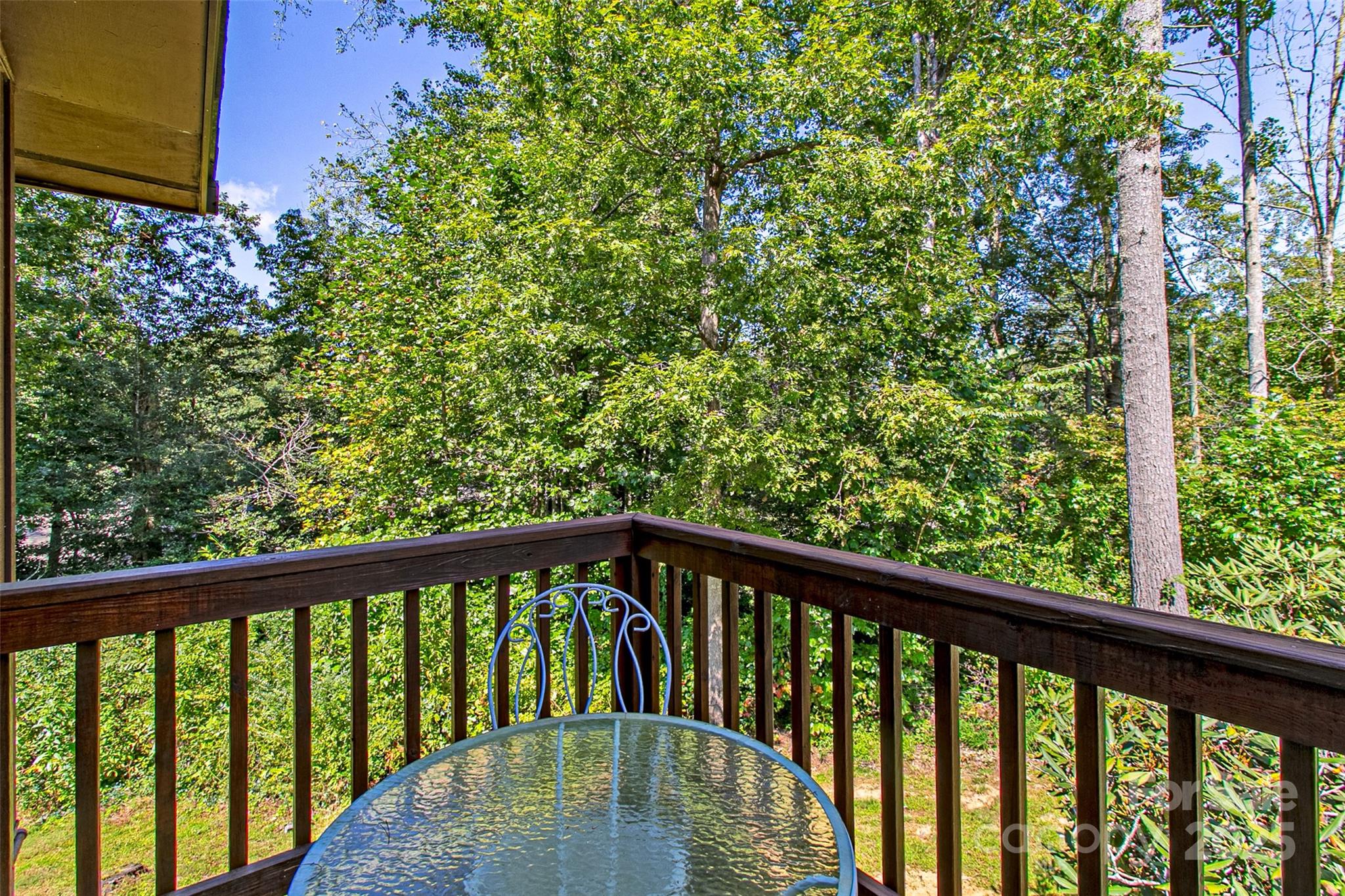 88 Hosta Lane