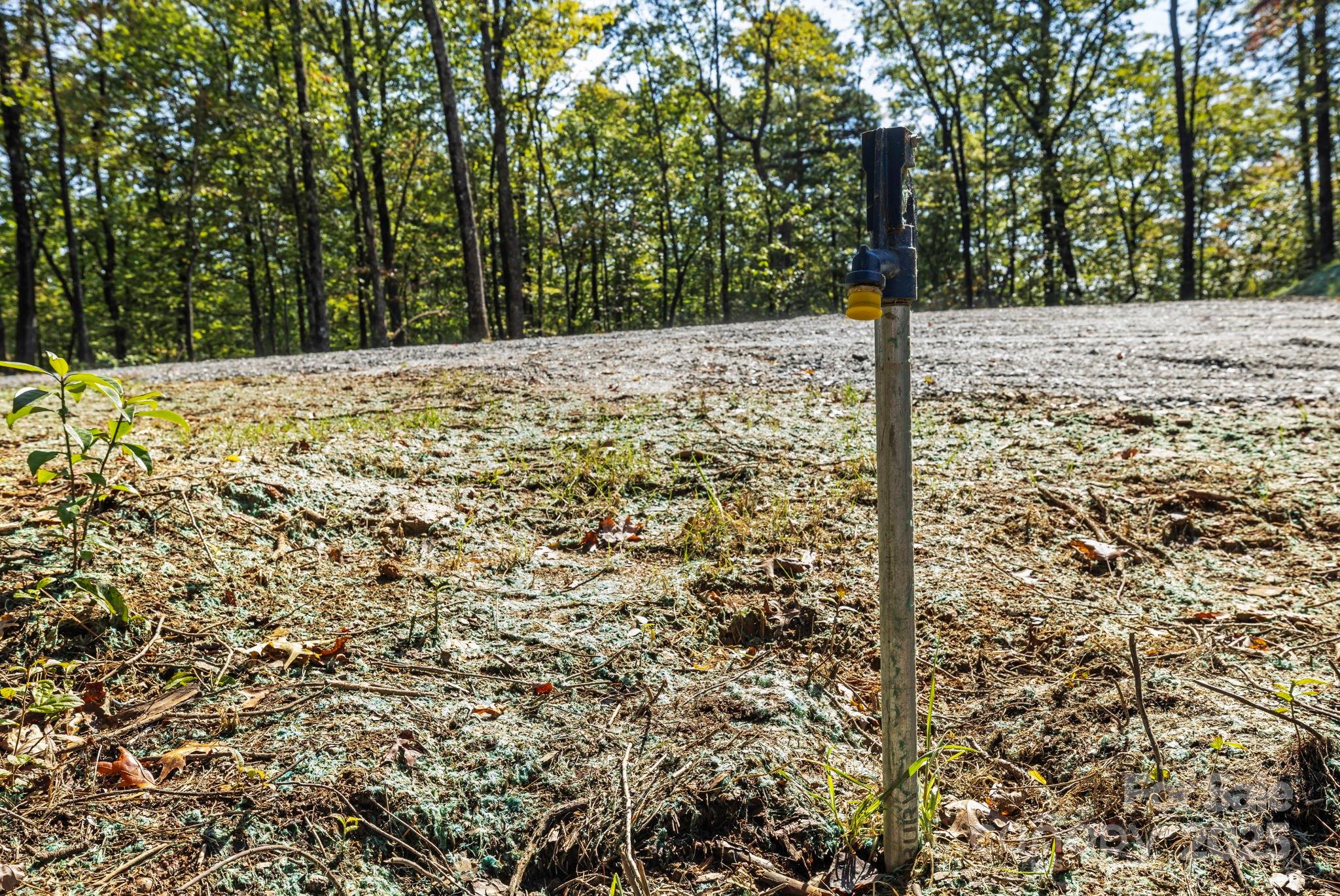 11763 Rosman Highway