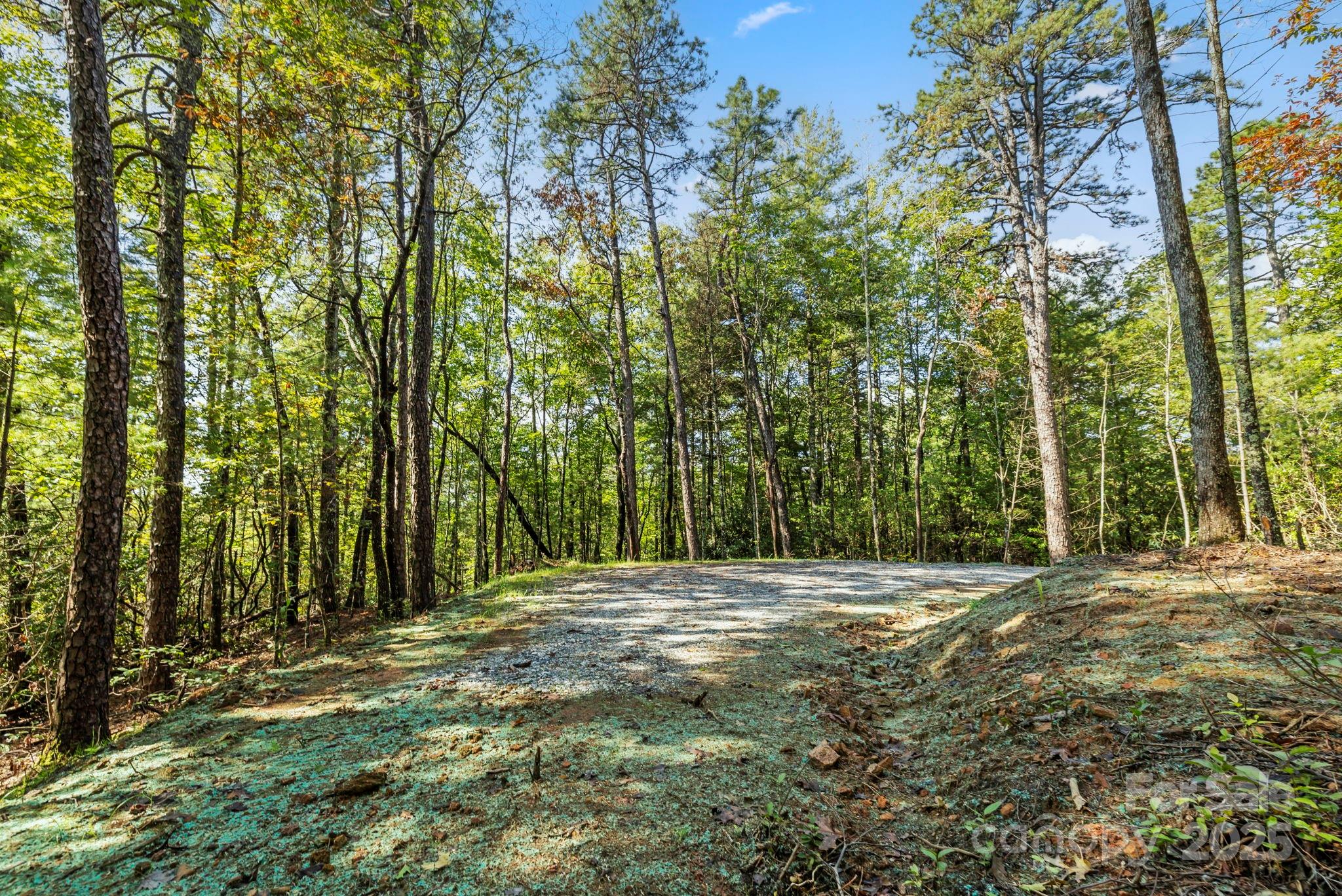 11763 Rosman Highway