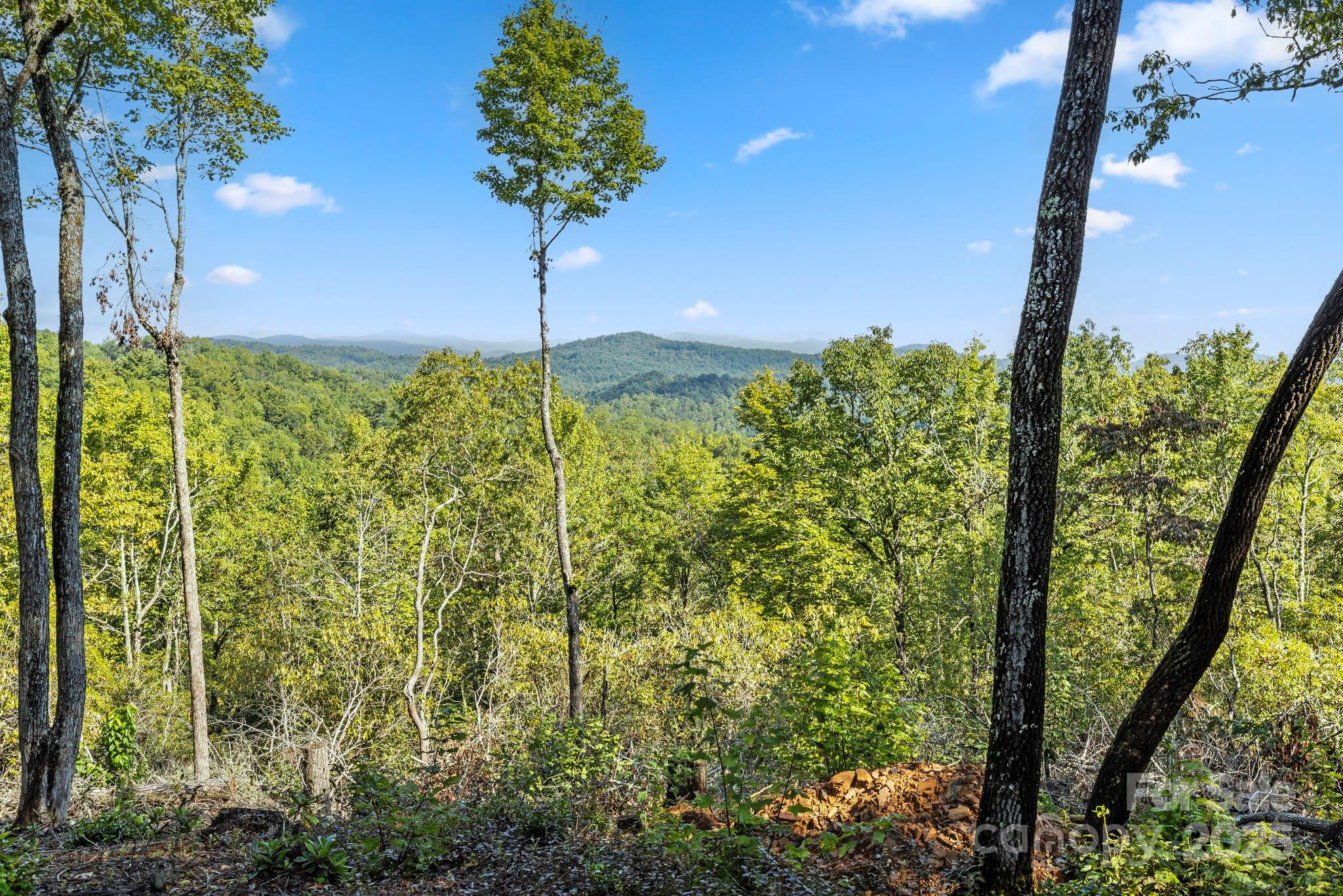 11763 Rosman Highway