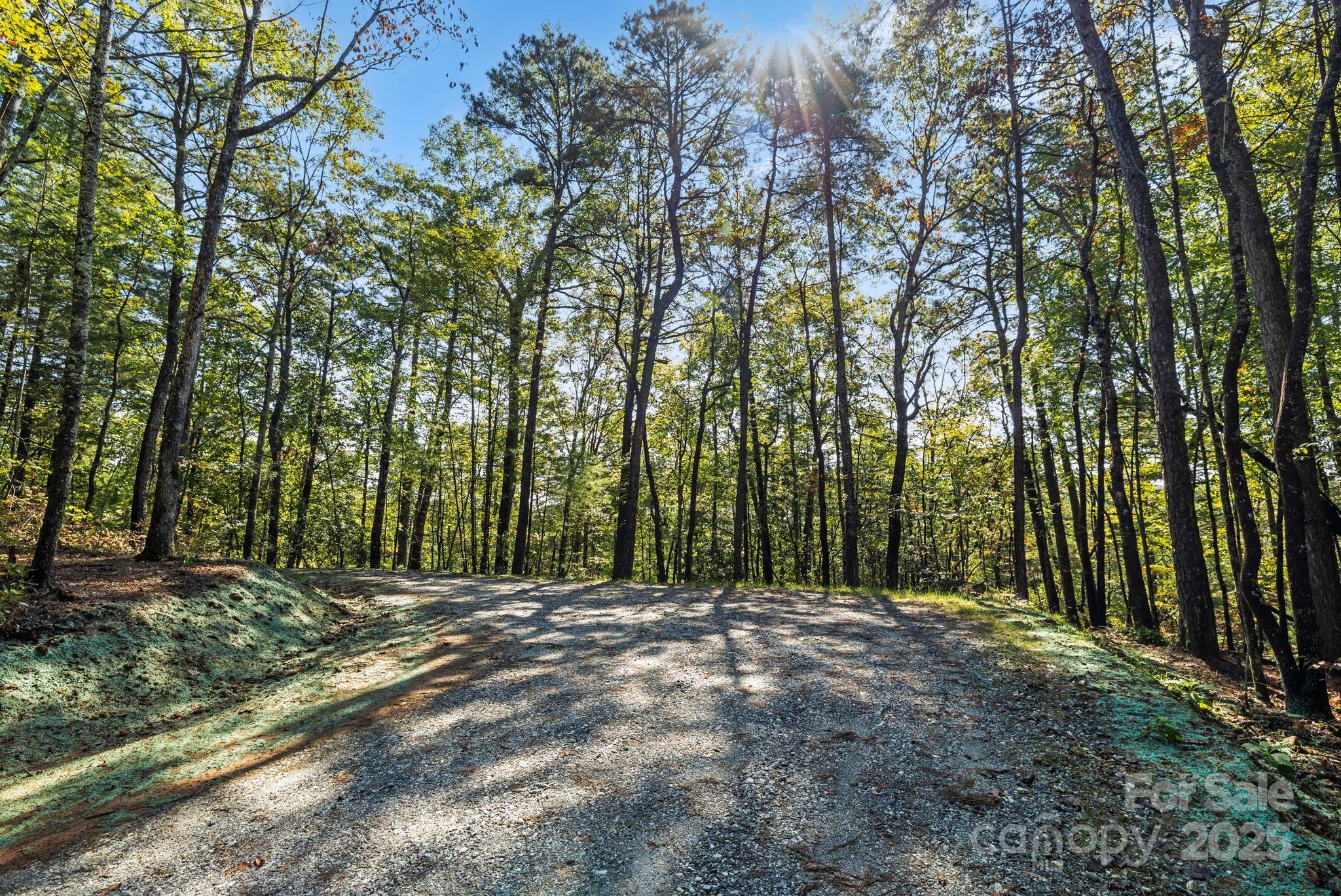 11763 Rosman Highway