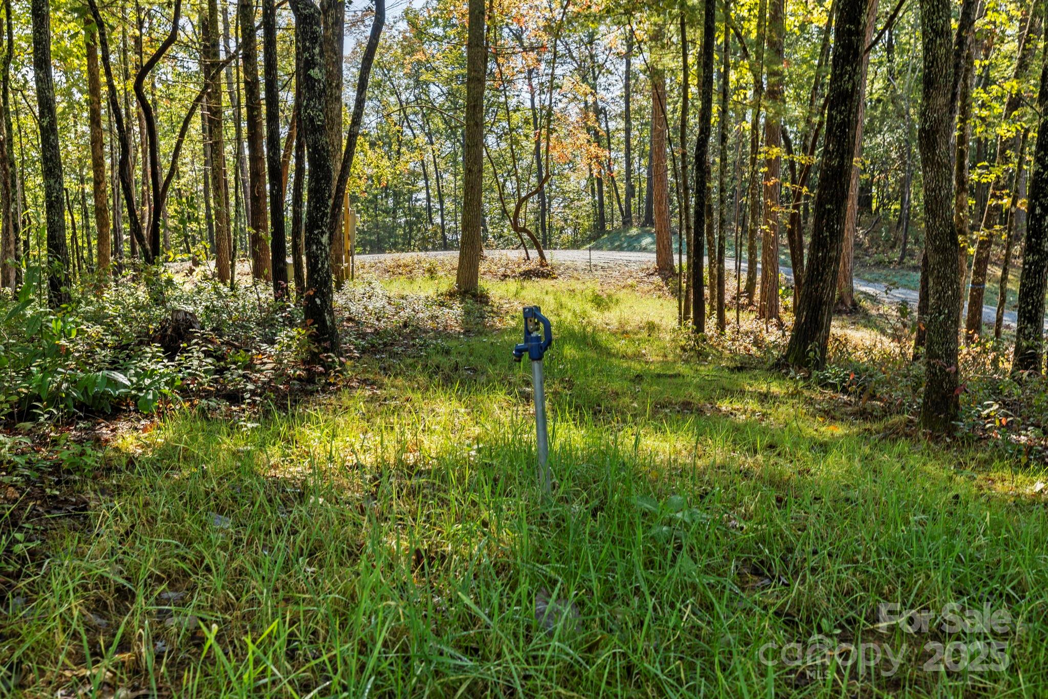 11763 Rosman Highway