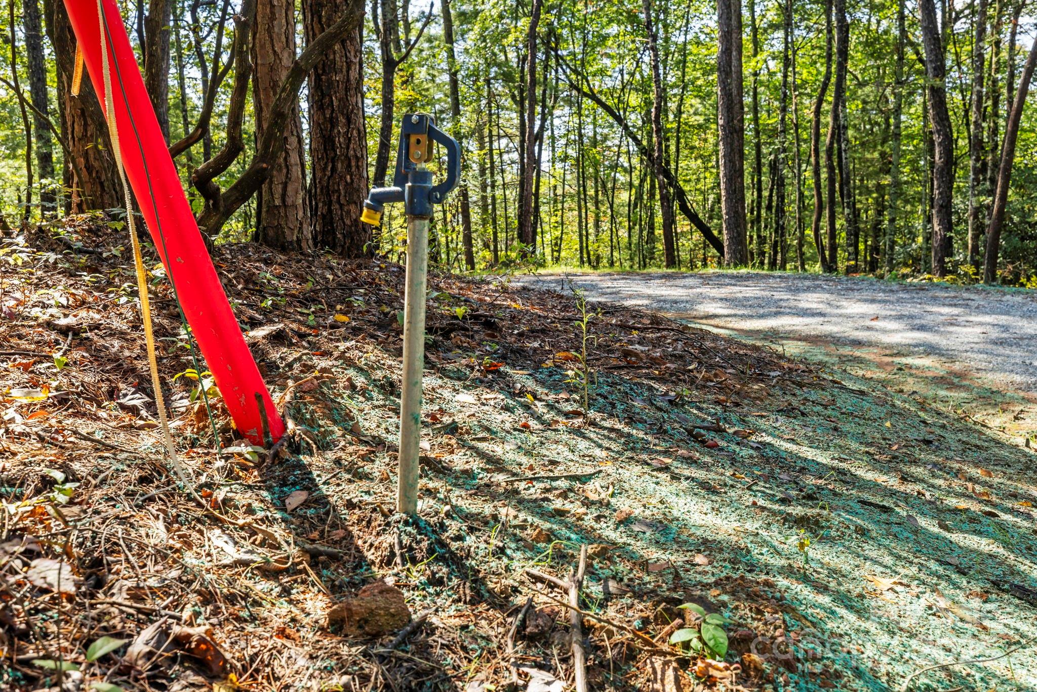 11763 Rosman Highway