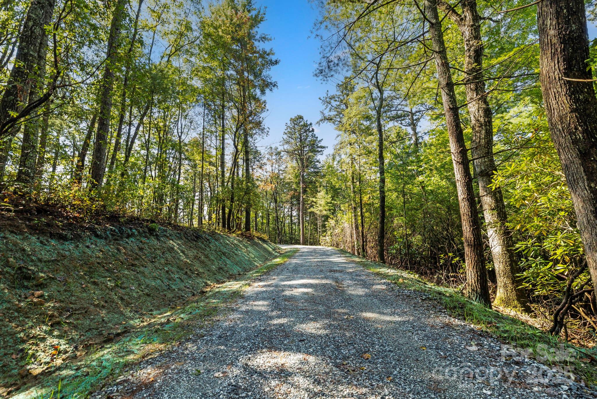 11763 Rosman Highway