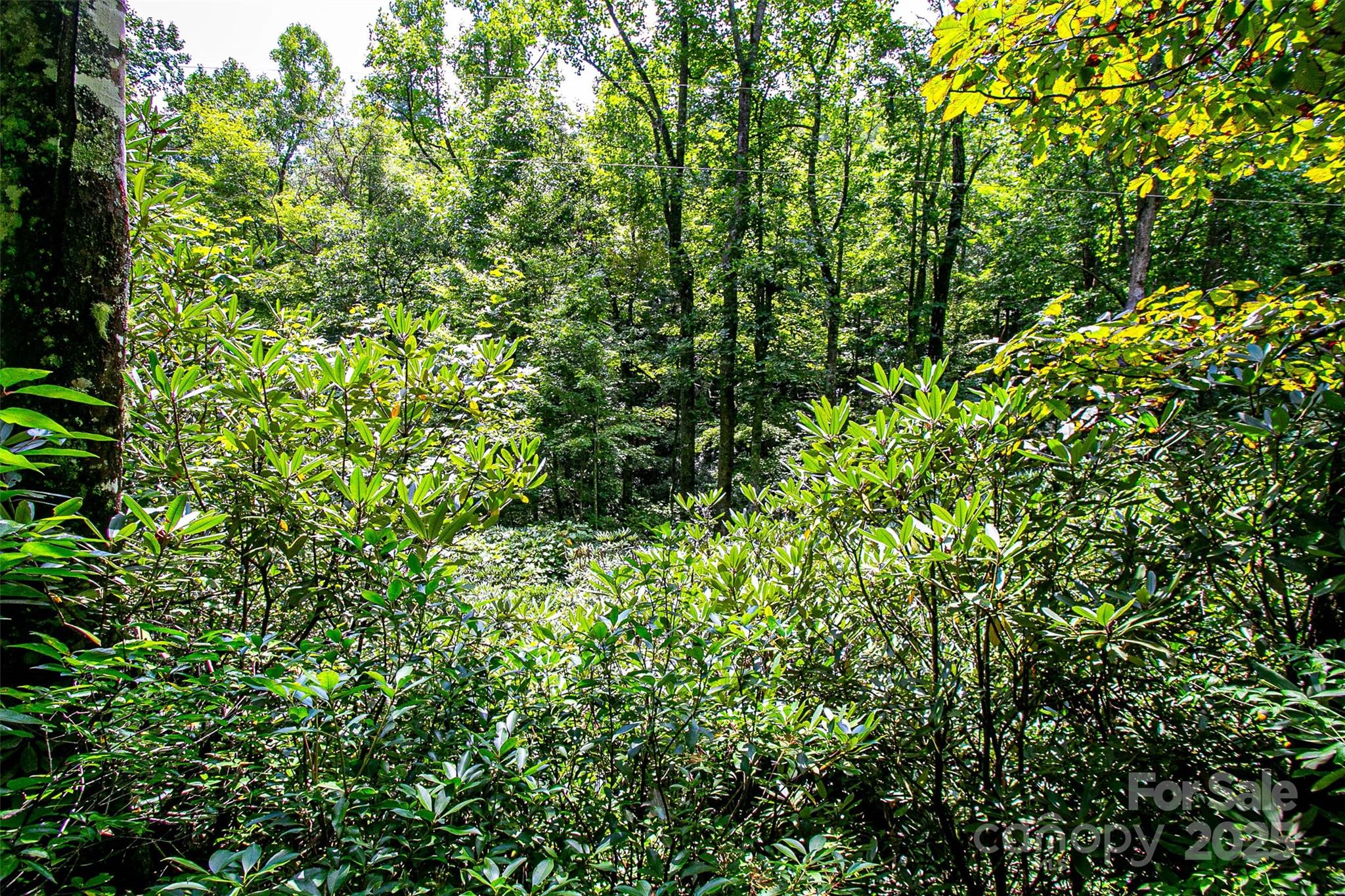 0000 Happy Acres Road