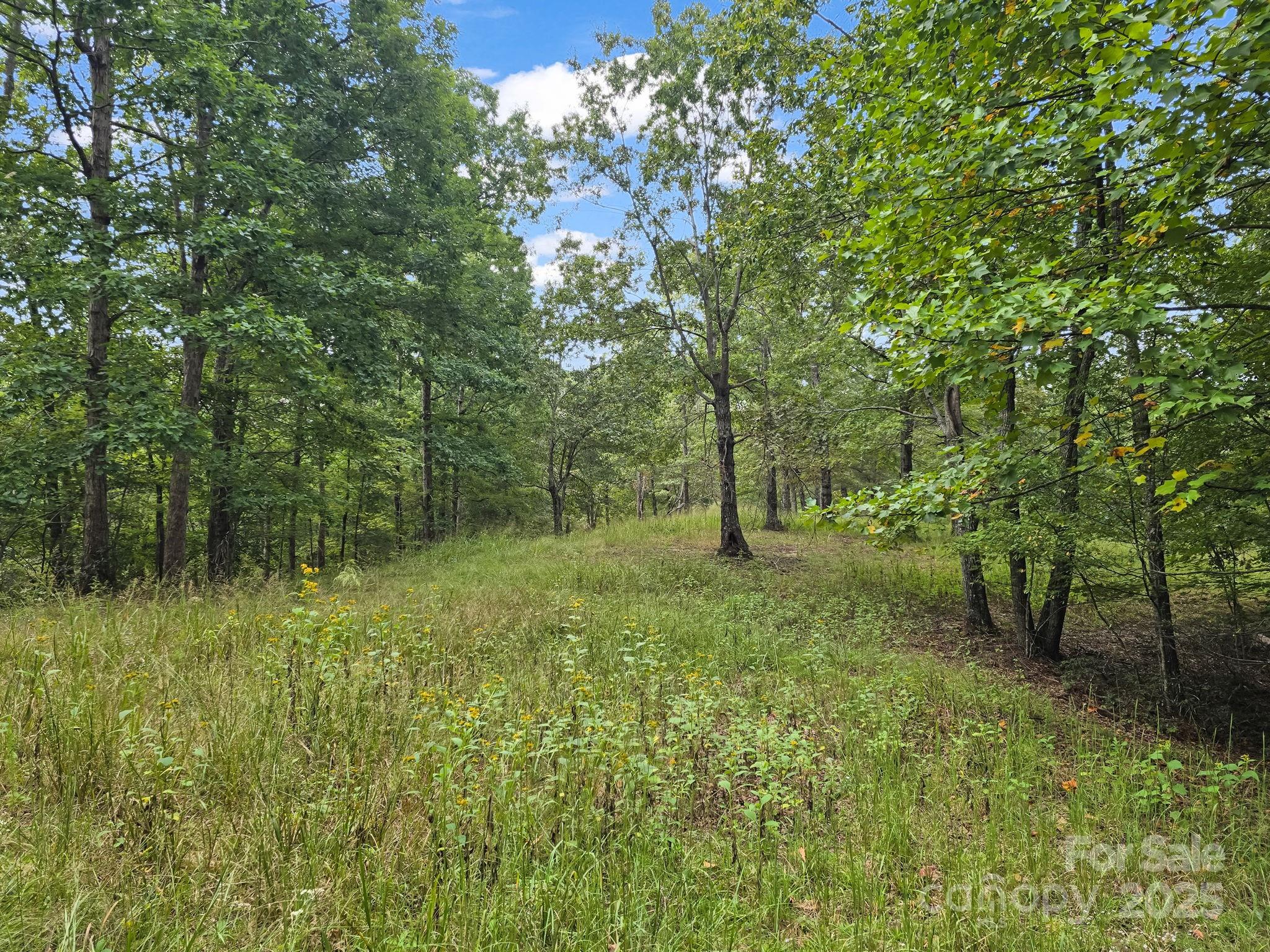 TBD N Highland Farms Road Unit: 6