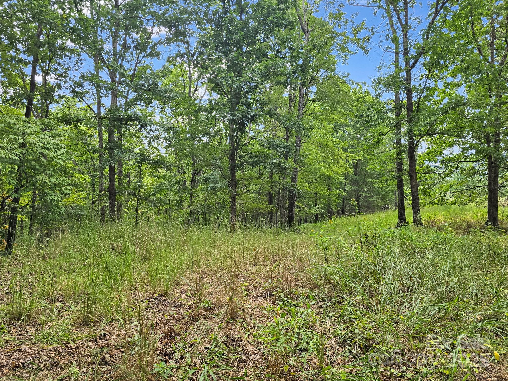 TBD N Highland Farms Road Unit: 6