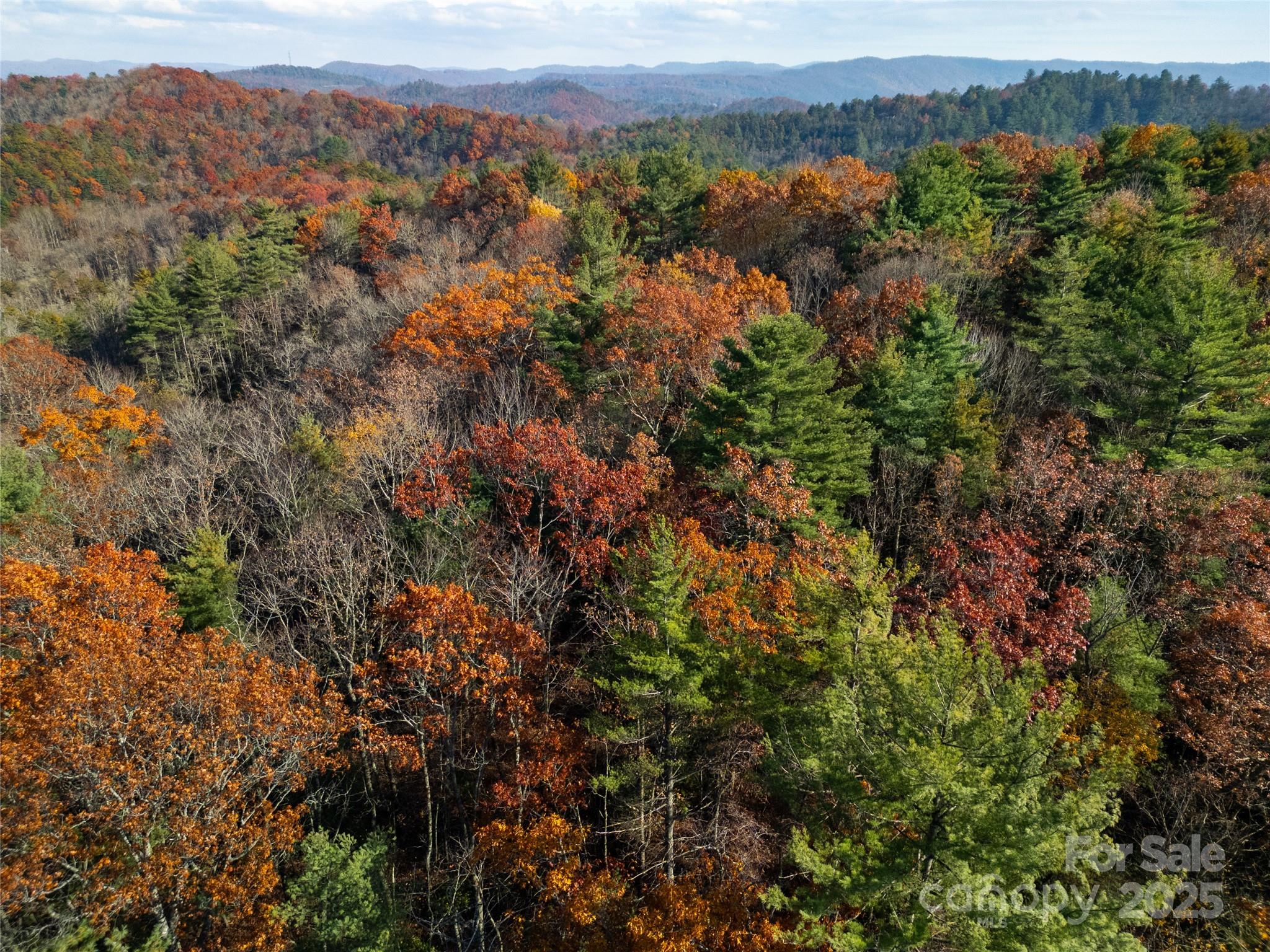 TBD South Fork Trail