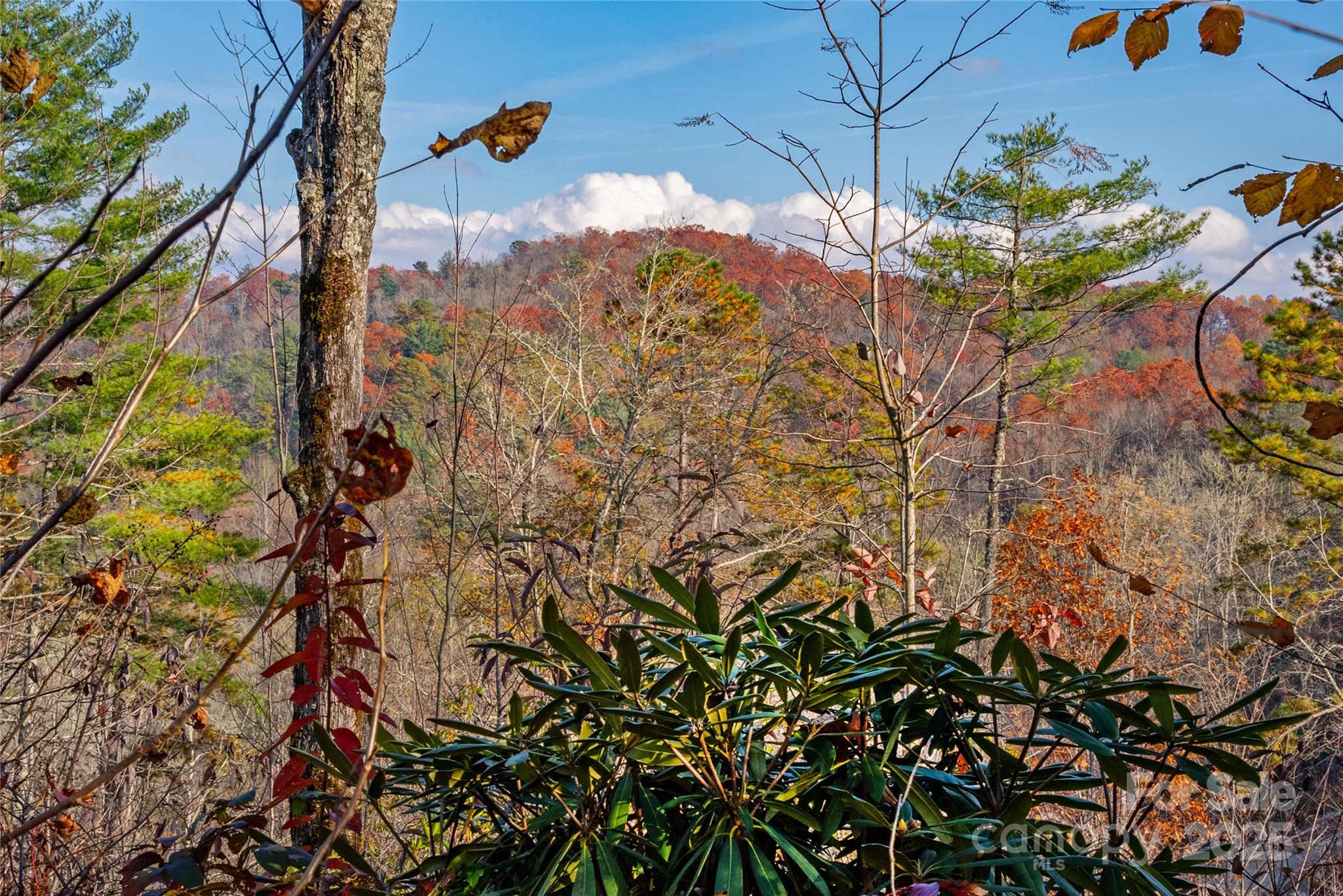 TBD South Fork Trail