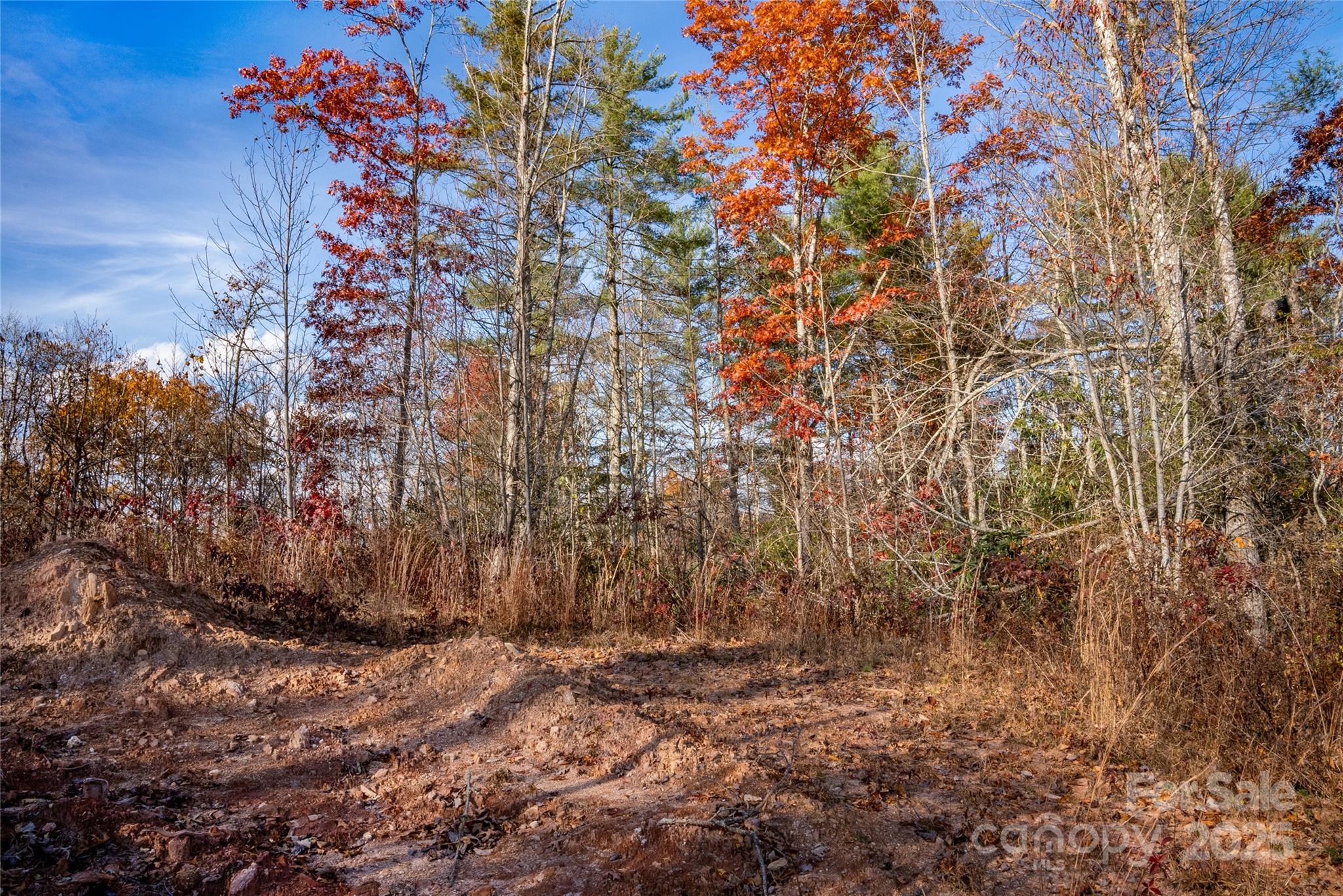 TBD South Fork Trail