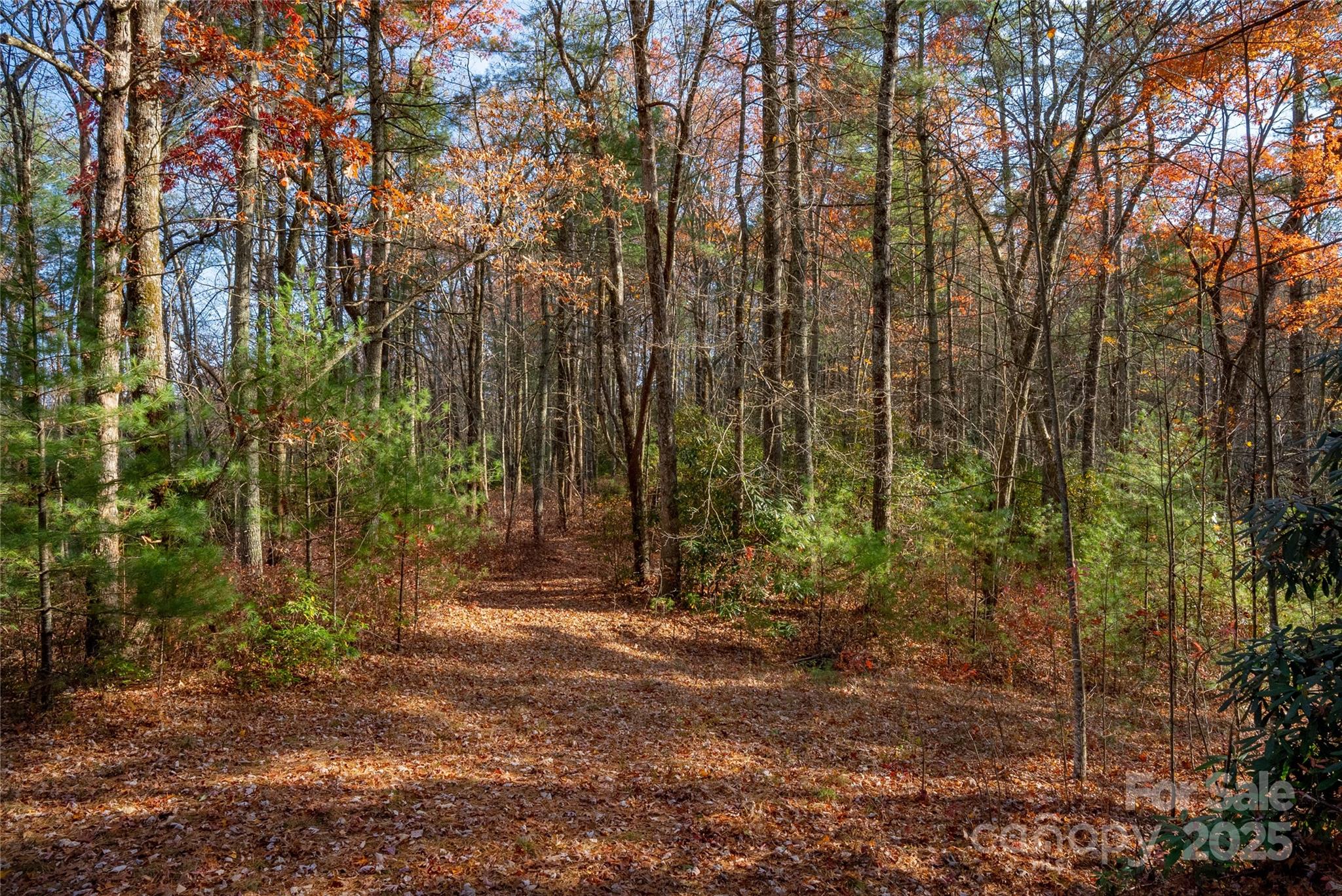 TBD South Fork Trail