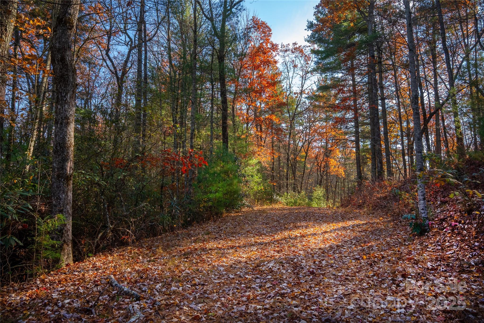 TBD South Fork Trail